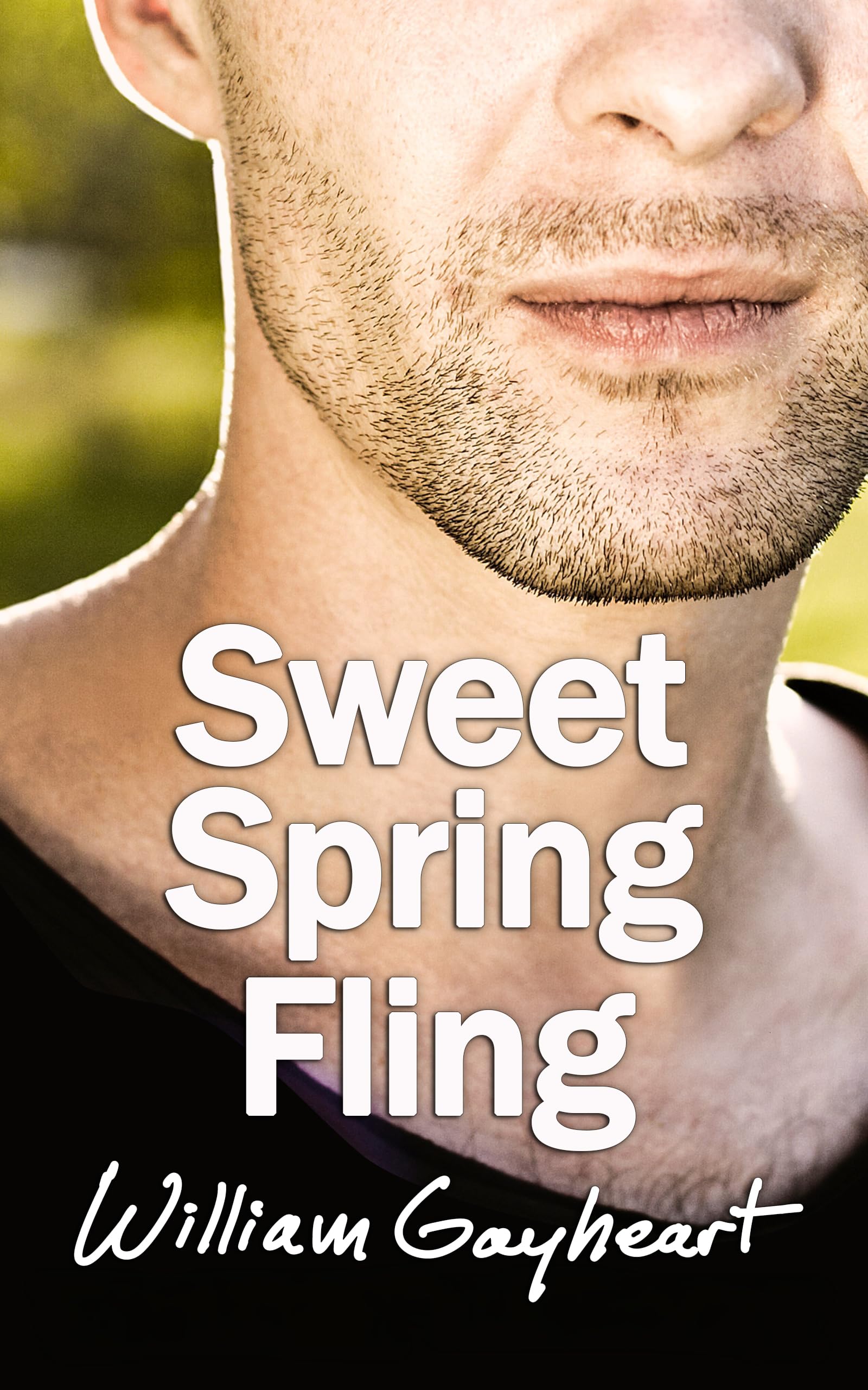 Sweet Spring Fling (Love in Port Harbor)
