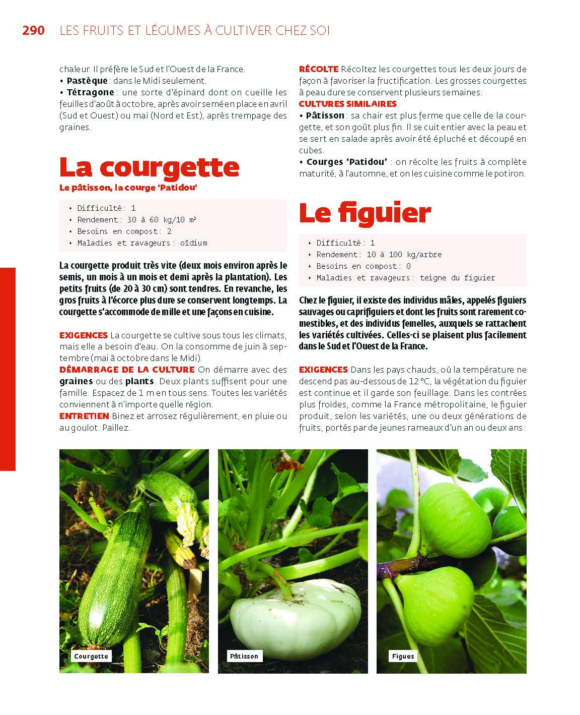 Le guide de l'autonomie au jardin: Savoir tout faire au potager, poulailler, rucher...