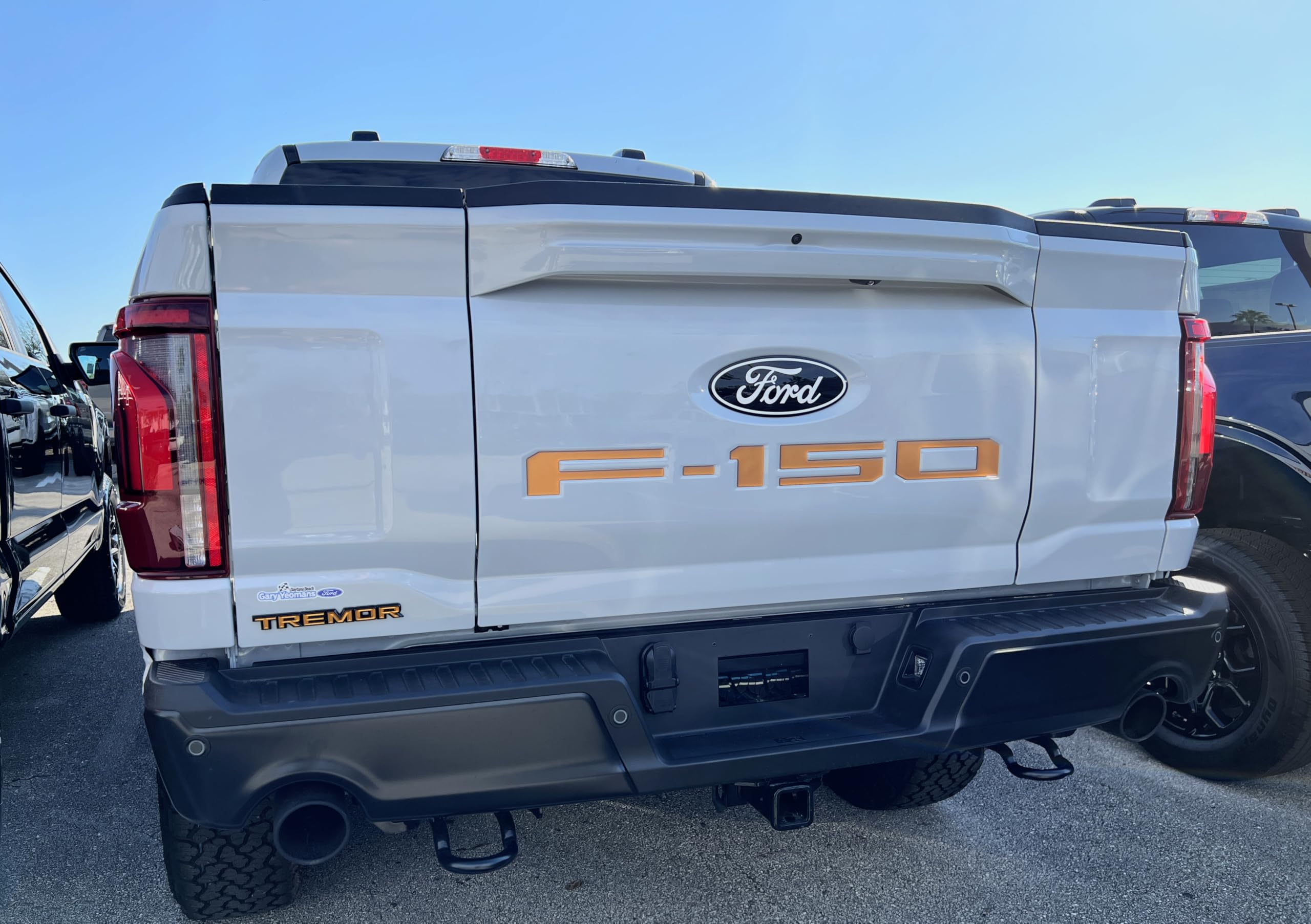 F-150 Tailgate Emblem Letter Inserts - Compatible with 2021-2026 F-150