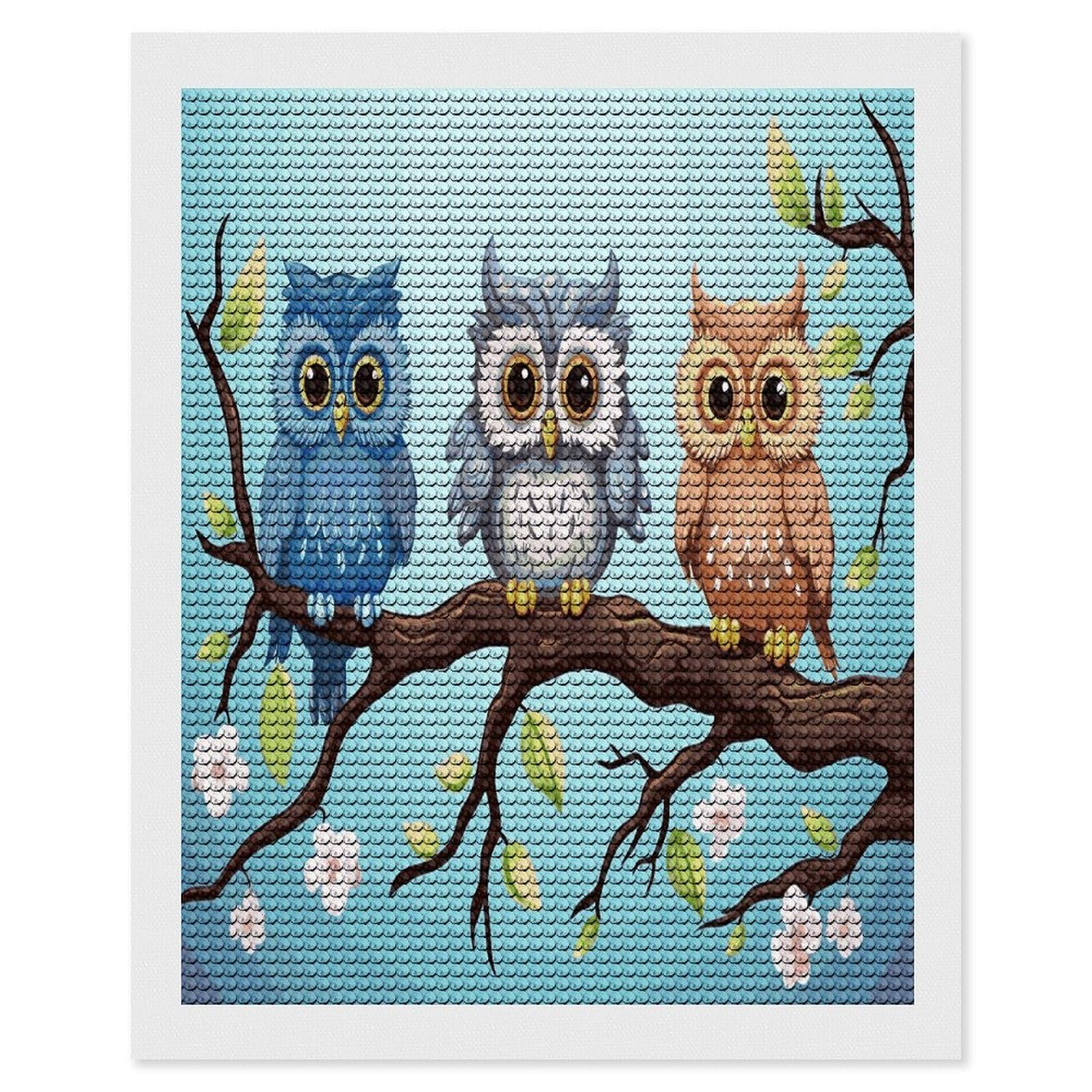 FekiLoot Owls on A Branch Paint by Numbers Kit for Adults Beginner DIY Diamond Dots Paintings Round Full Drill Diamond Art Kits Picture Diamond Art Painting Kits for Home Decor 16"x20"