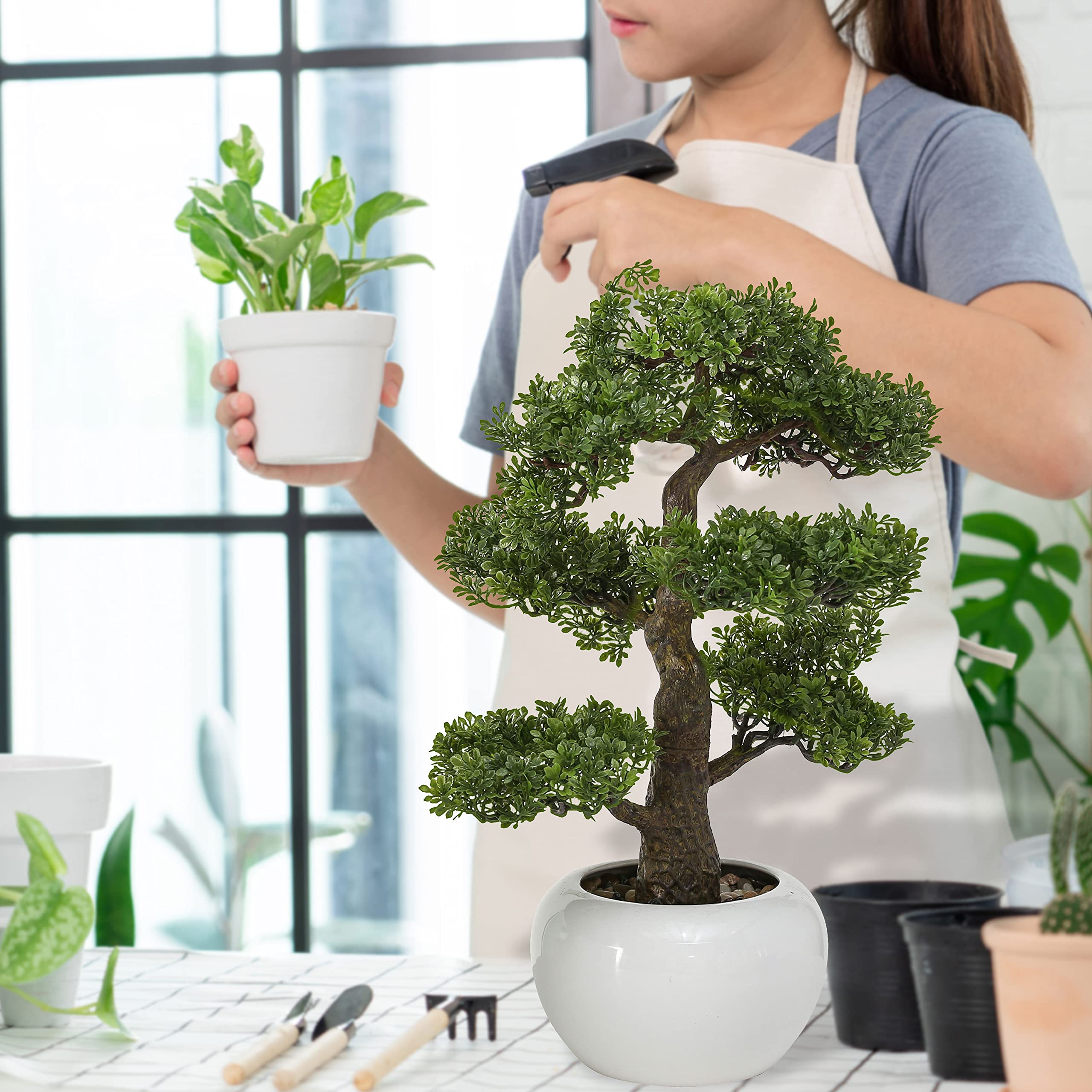 Amazon.de: Realistischer knstlicher Buchsbaum-Bonsai-Baum, Zimmerpflanze,  weier runder Topf, Kieselsteine, 47 cm H Zoll, 1,4 kg
