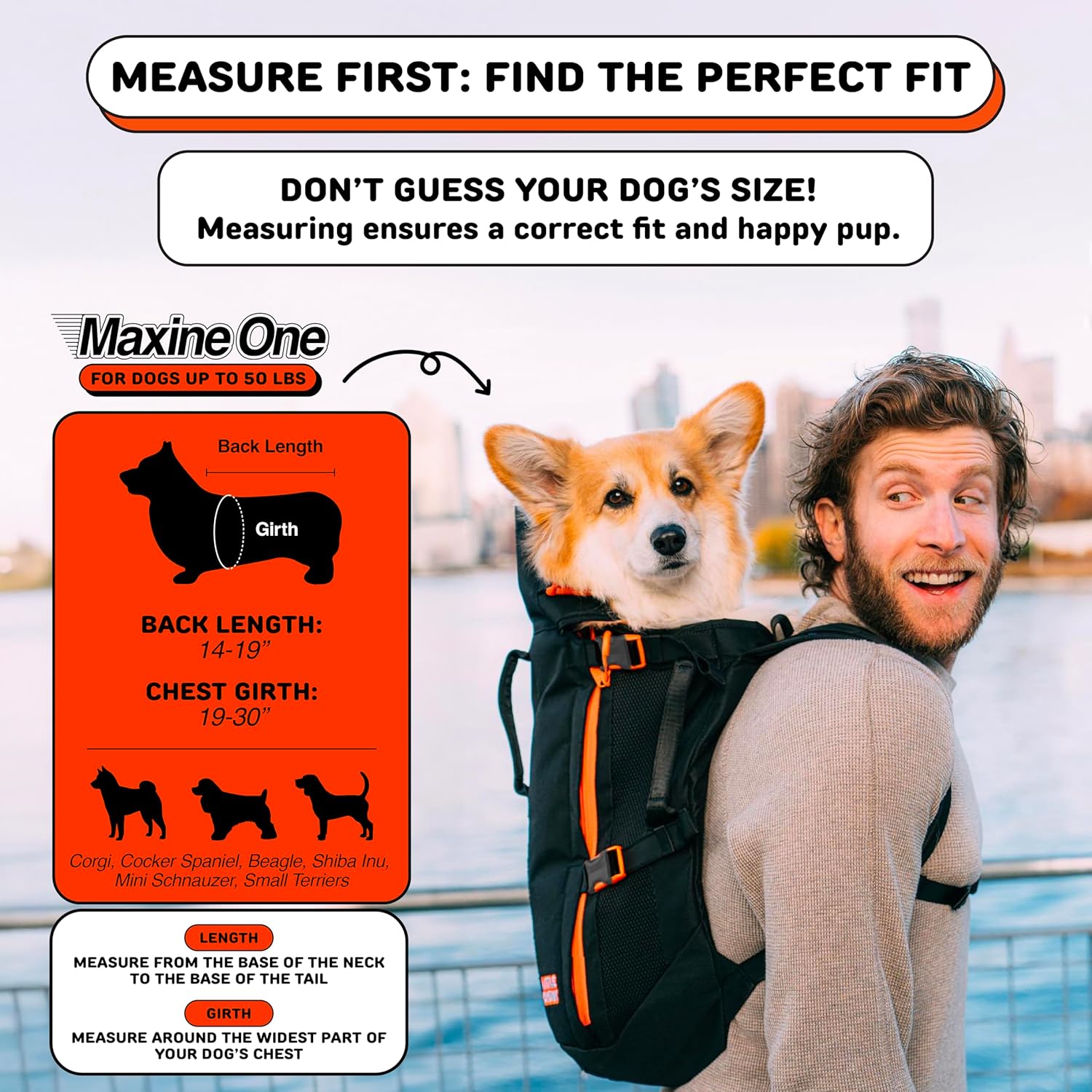 Unleash Adventure: Review of The Maxine One Dog Carrier for Medium Breeds