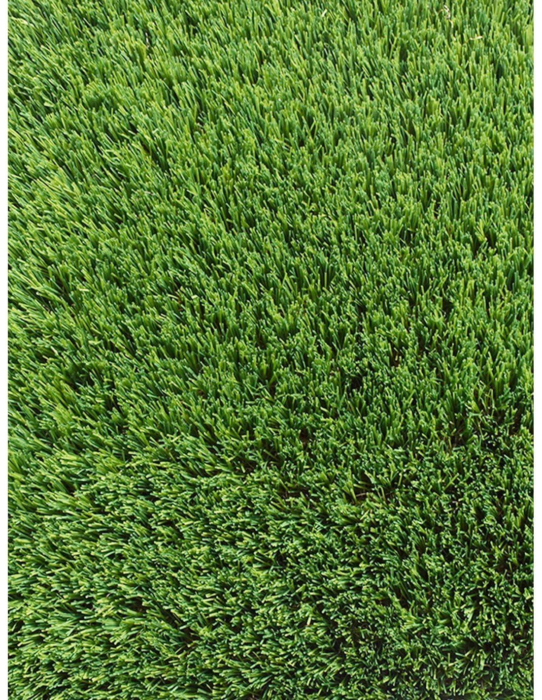 Jardin202 - Césped Artificial Miami 50mm | Alta Densidad 26.250 Puntadas | Suavidad y Realismo | Rollo: 2x5 Metros () | Rollo: 2x5 Metros