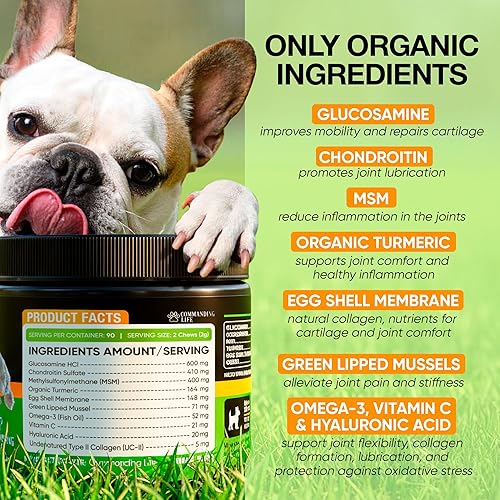 Miniatura 2 de Glucosamina y condroitina para perros - Suplemento masticable para cadera y articulaciones con MSM, vitamina C, cúrcuma, omega-3 para todas las
