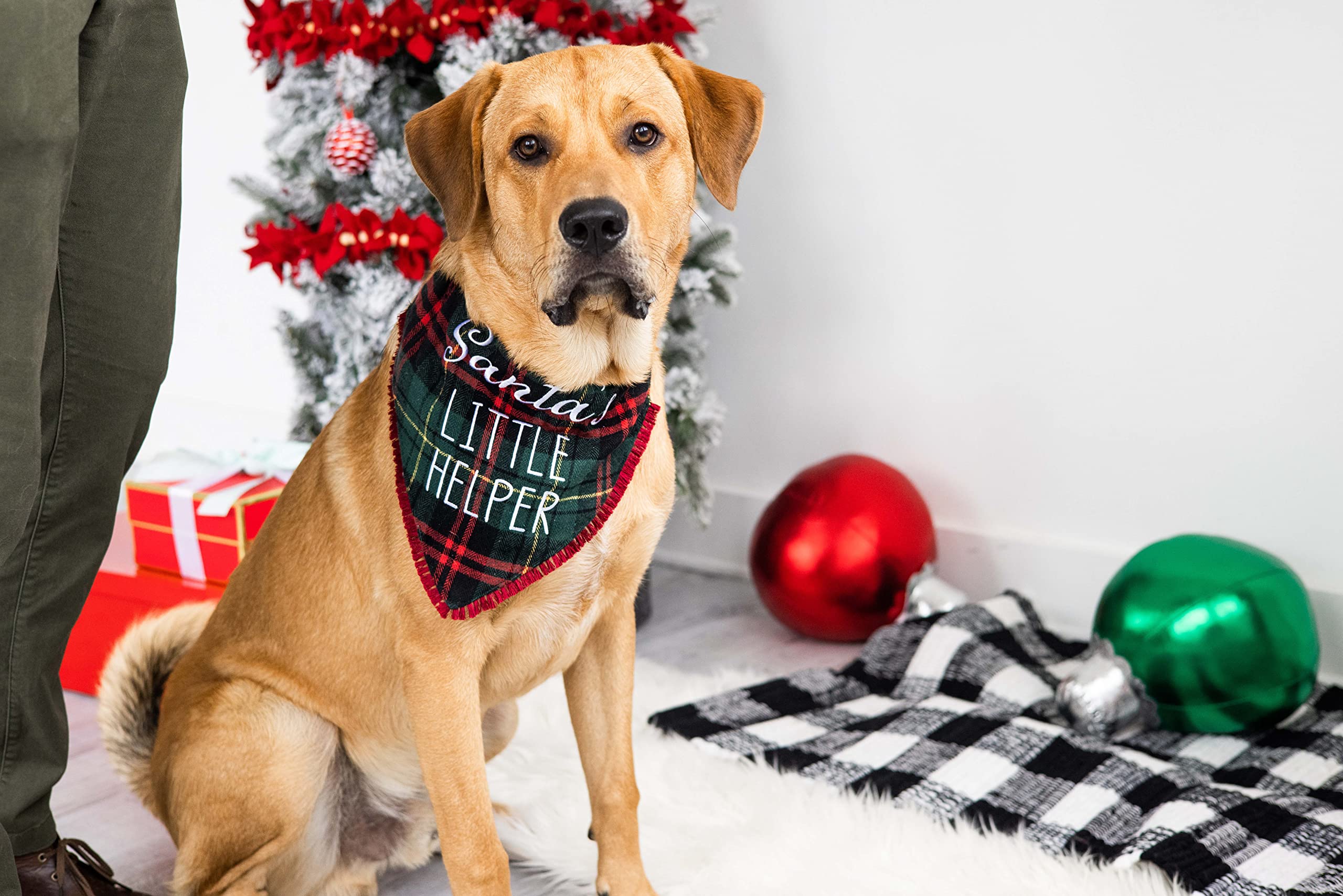 Pearhead Christmas Plaid Dog Bandana, Santa’s Little Helper Holiday Pet Bandana, Dog Christmas Bandana - Image 4