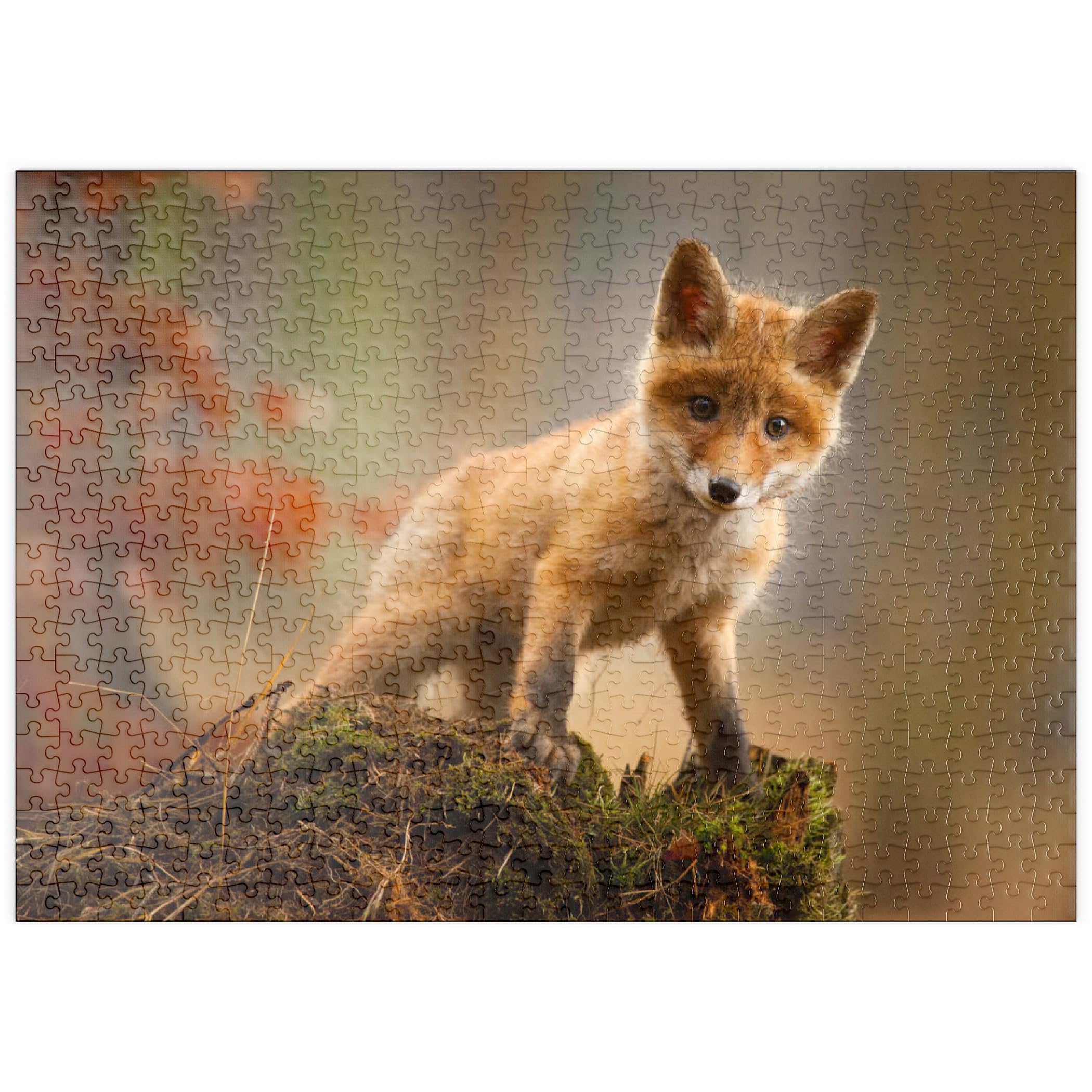 A Young Curious Fox In The Forest - Premium 500 pieces Puzzle - MyPuzzle special collection from Puzzle Galaxy