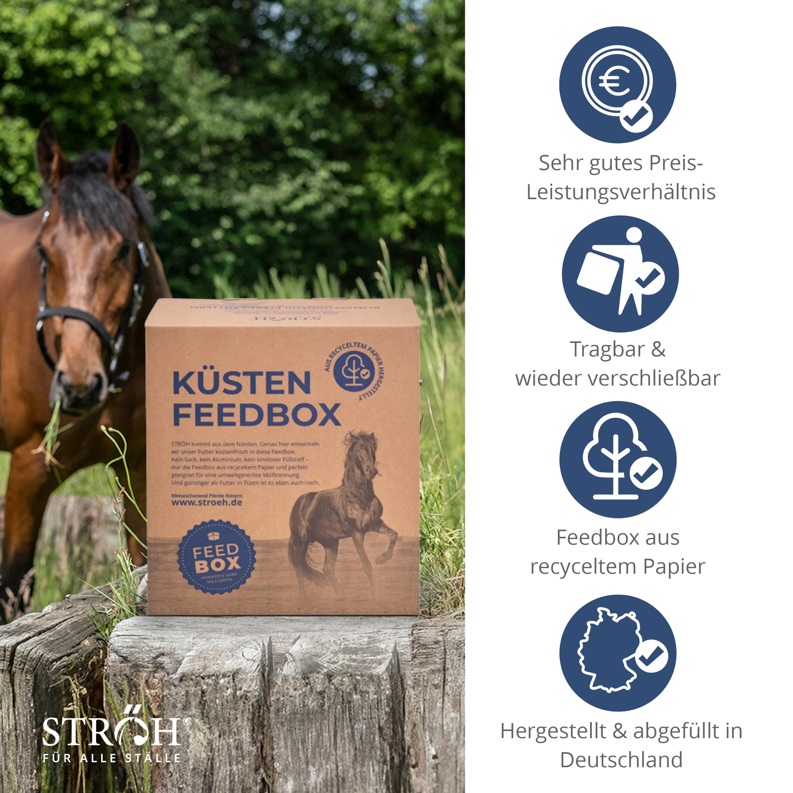 STRÖH Küsten Esparsette Cobs für Pferde - Rau-/Kraftfutter - 30kg Feedbox | Natürlicher Proteinlieferant - Heuersatz mit Aminosäuren, Calcium & Vitaminen - Ohne Stärke & Melasse - Magenfreundlich