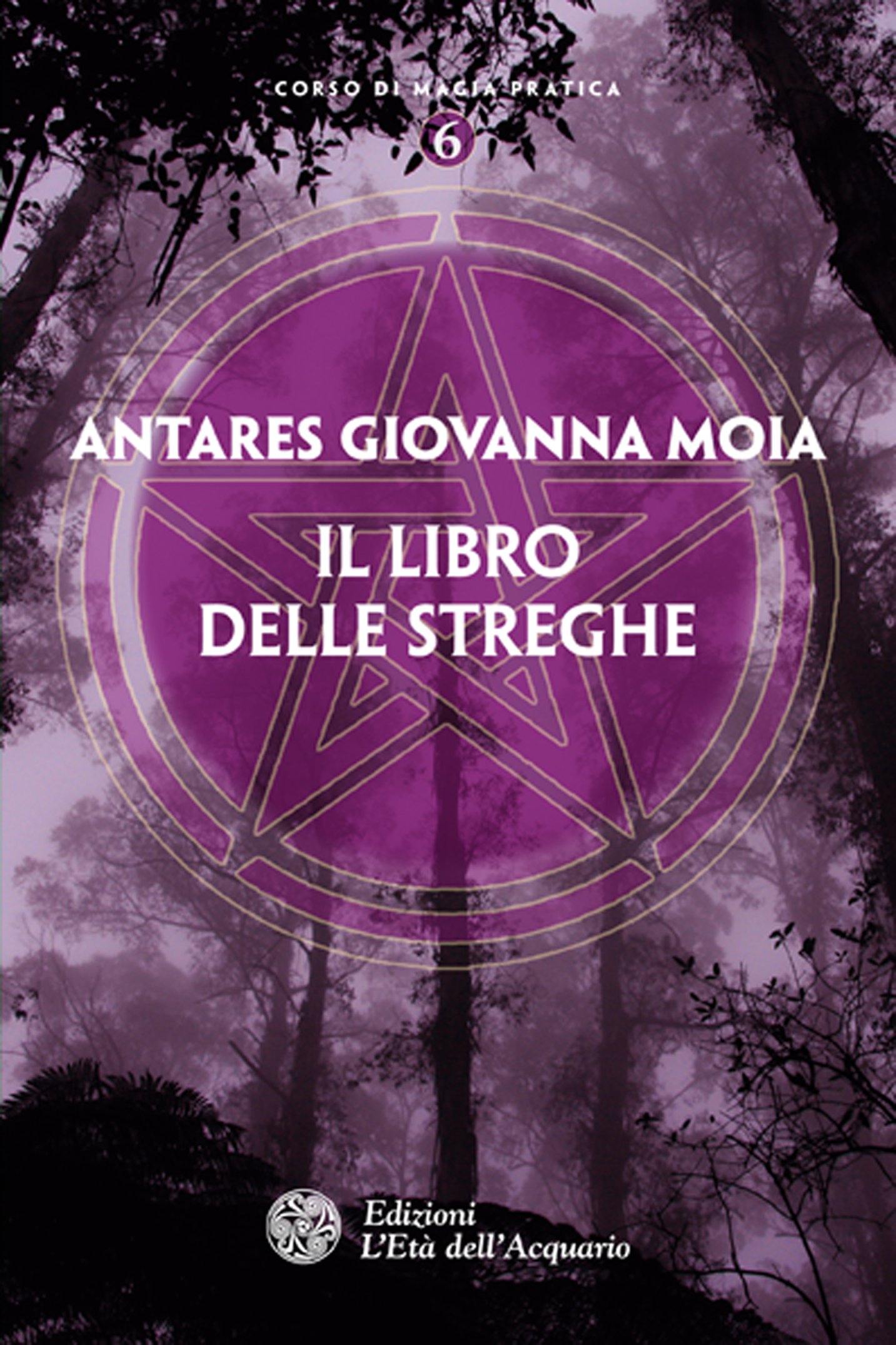 Il libro delle streghe (Italian Edition)