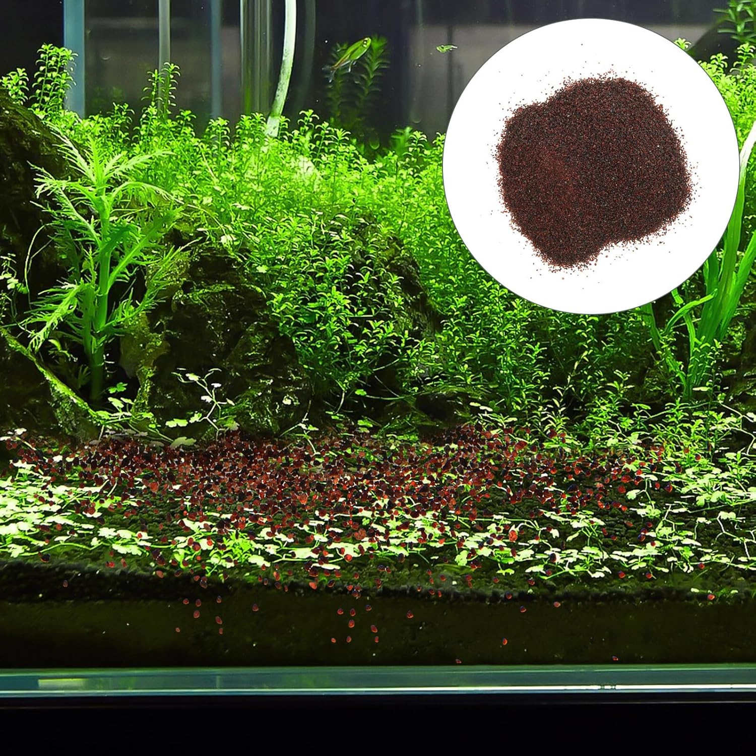 HOMSFOU Natural Aquarium Gravel and Decorative Fish Tank Stones, 500g Rain-Washed Natural River Sand for Aquarium Substrate, Landscaping, and Fish Tank Decorations