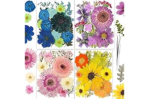 Assorted Dried Flower Stickers for Resin, Pressed Butterfly Flower Flora Leaves for Crafts