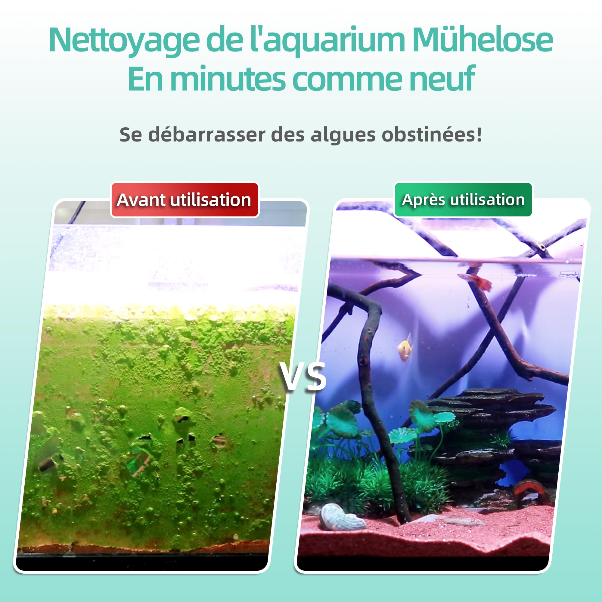 boxtech Raschietto anti-alghe, strumento di pulizia dell'acquario Kit - 5 lame in acciaio + spazzola, manico 50 cm per acquario in vetro