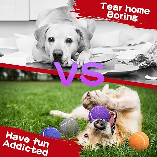 Miniatura 4 de Yunsailing 30 pelotas de tenis para perros a granel de 2.5 pulgadas para perros, mini juguete para mascotas de colores a granel para ejercicios de