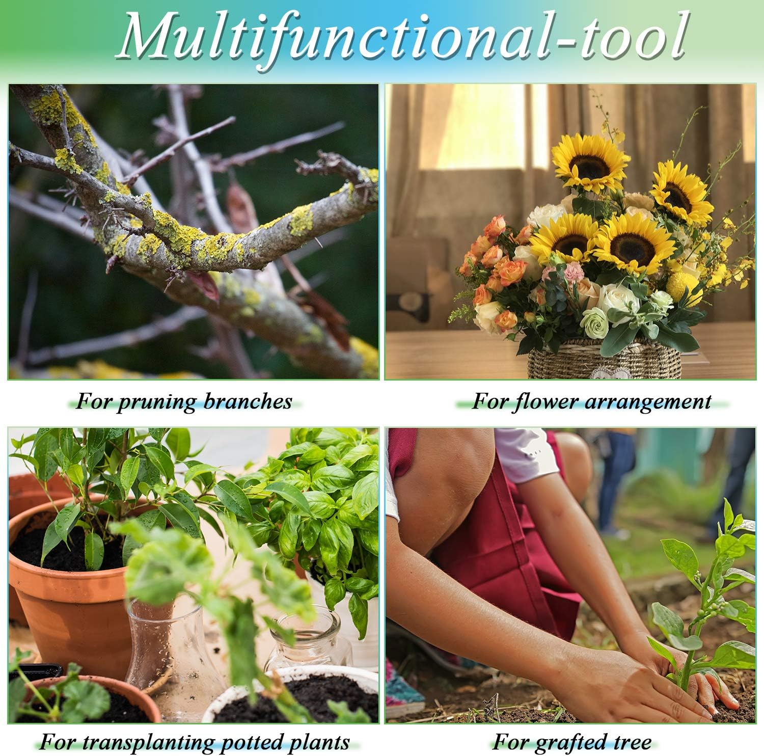 Grafting Gardening Knife for Pruning 2 Grafting Tape Double Blades Garden Knife for Budding Pruning with Plants Repair Tapes Rolls for Floral Fruit Tree