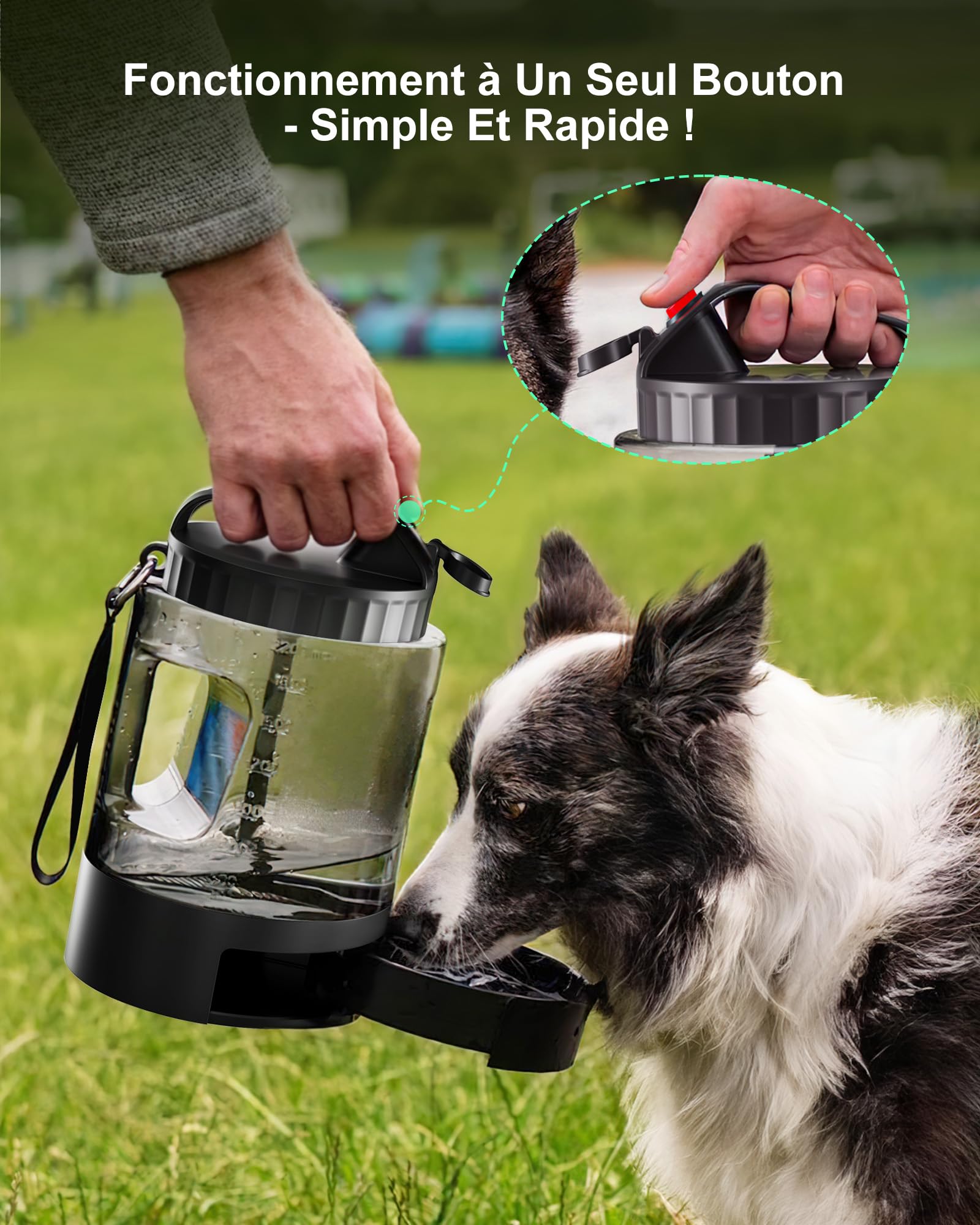 lesotc 2200ml Gourde Chien Promenade, Bouteille d'eau Portable pour Chien, Prévention des Fuites d'eau, Convient pour l'Extérieur, Les Voyages, La Marche, Le Camping Et d'autres Scènes（Noir）