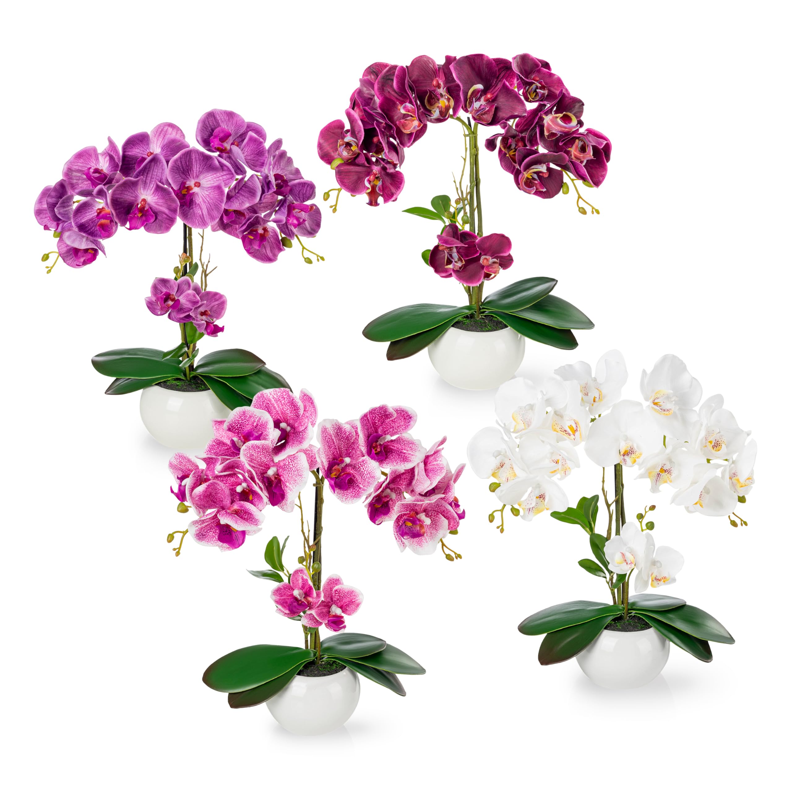 PASCH® Set di 4 Orchidee Artificiali in Vasi di Ceramica Lucida (40 cm), Fiori Come Veri