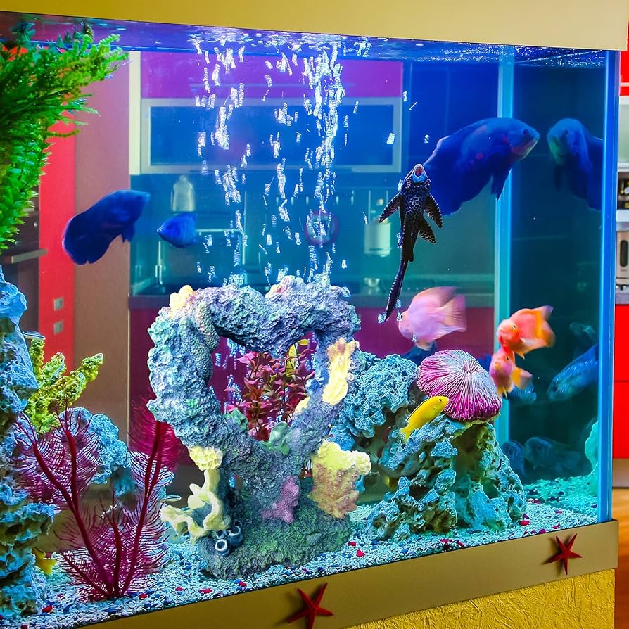 マンタ親子とサンゴ礁のアクアリウム♪♪ Amazon.co.jp: UTST 人工珊瑚 アクアリウム オブジェ サンゴ礁 水槽