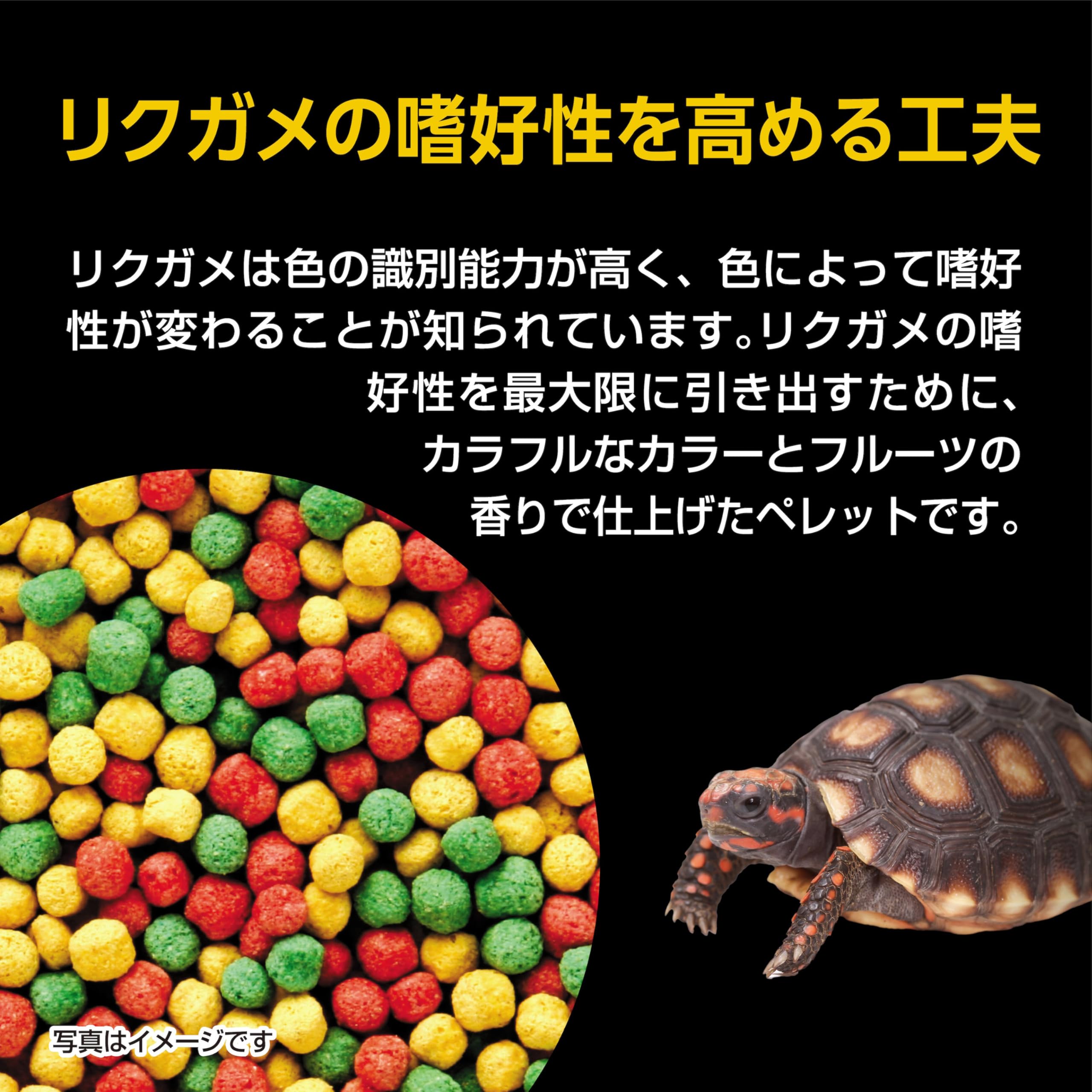 GEX EXOTERRA リクガメの栄養バランスフード 400g