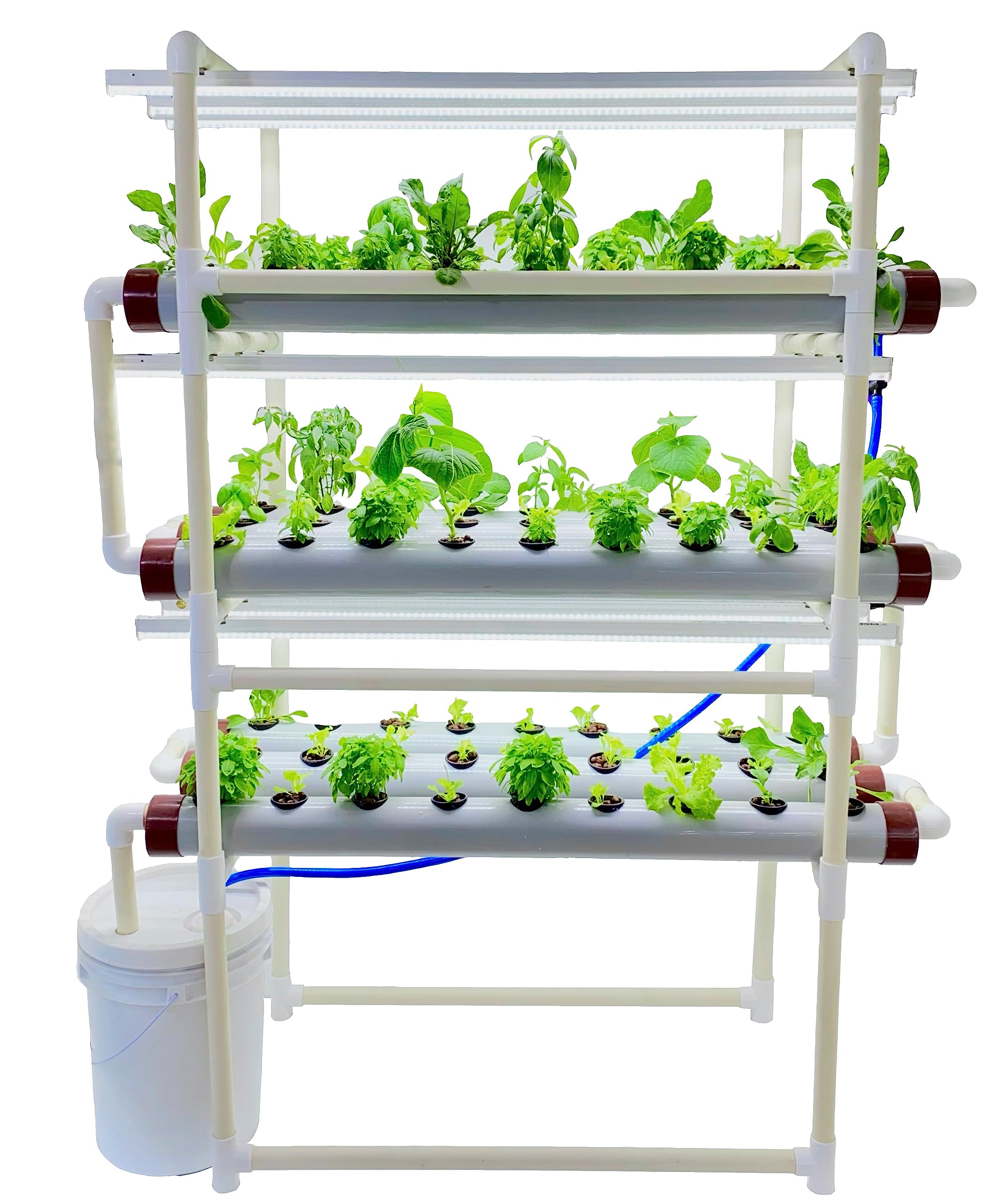 Hydroponic Kit for Home or Office - The Tashi Home Indoor NFT Hydroponic System with Growlights for Growing 81 Leafy Greens - All Inclusive kit (Standard Model, Small Reservoir)