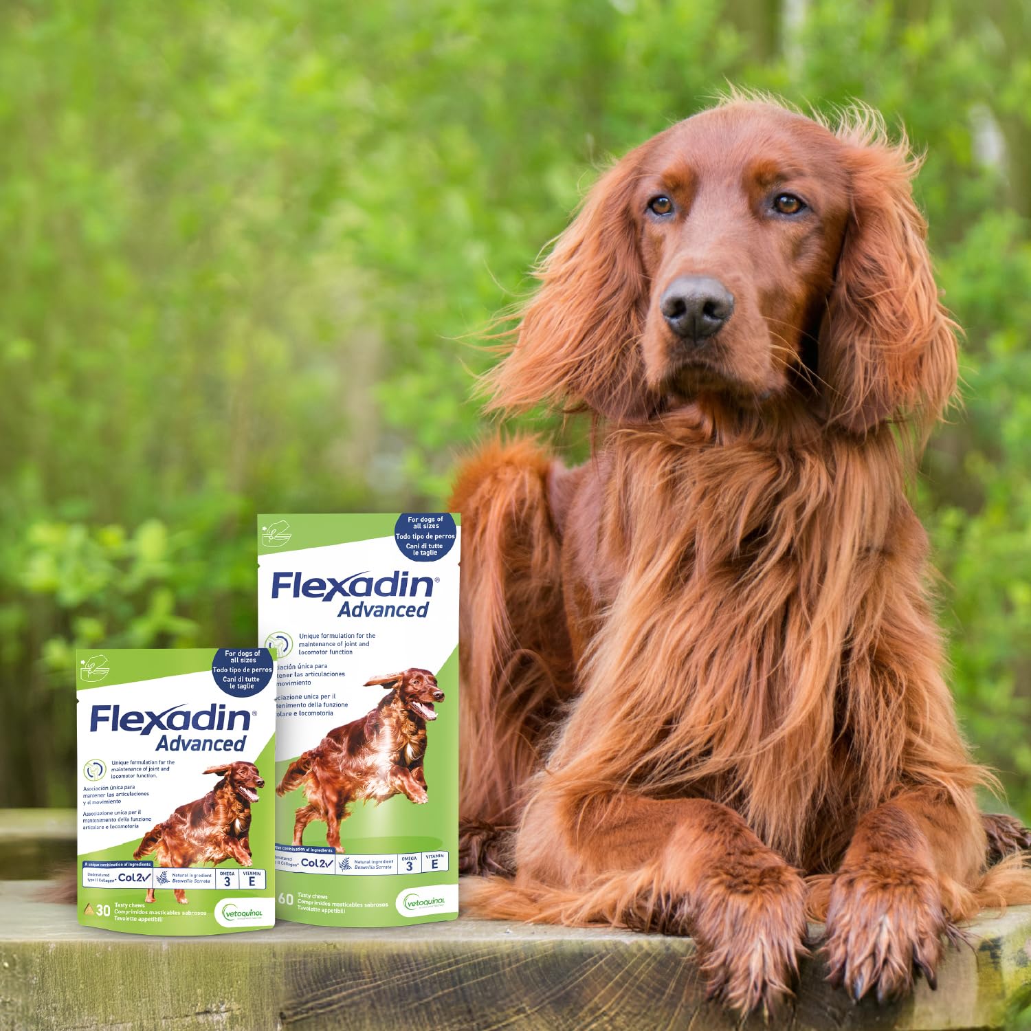 Vetoquinol Flexadin Advanced Cane | Mangime complementare per Cani | Ideale per il supporto delle articolazioni anche in corso di Osteoartrite | 30 Tavolette Appetibili, 1 tavoletta al giorno