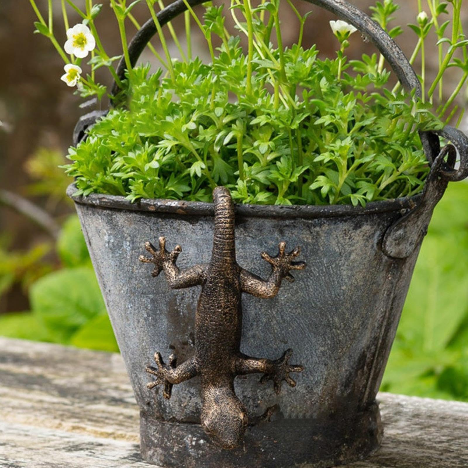 Amazon.co.jp: プランターポットハガー、Gecko Planter Pot Hugger