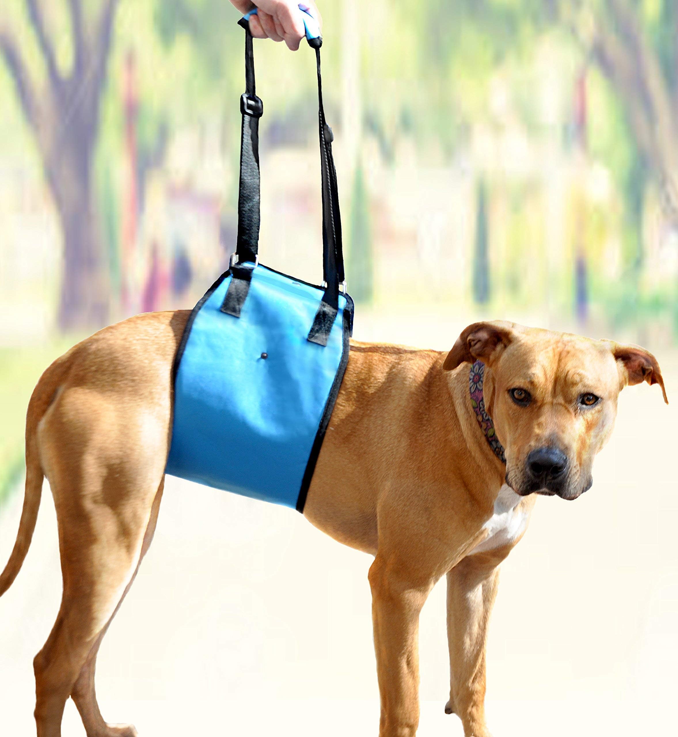 X-Small Dog Support Sling. Lifting Harness Helps Injured Canines with Weak Front or Rear Legs Stand Up, Walk, Get Into Cars Using Ramps, Climb Stairs. Best Alternative to Dog Wheelchair
