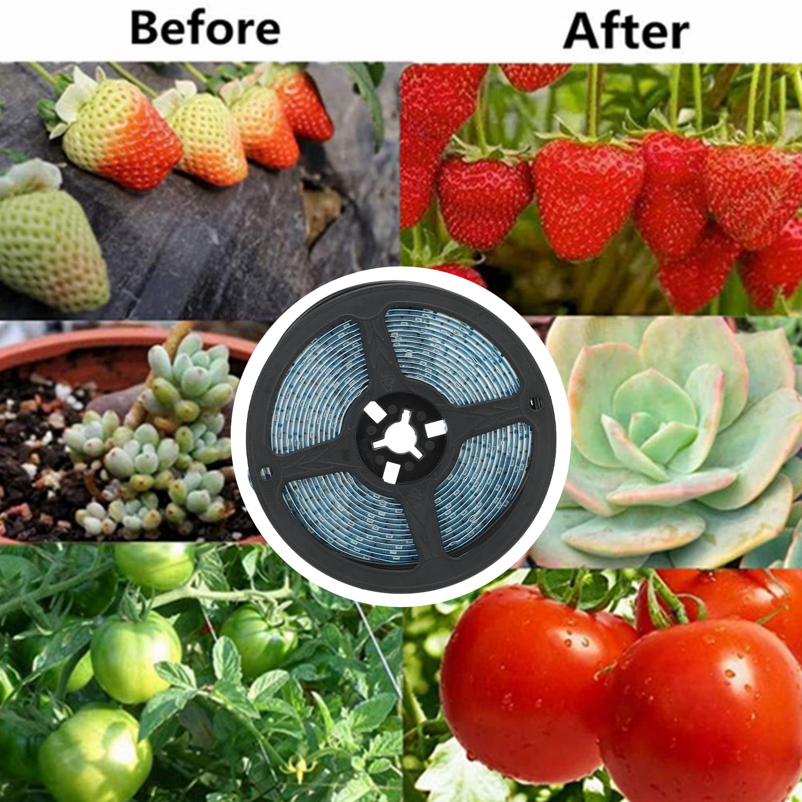 Pyhodi Bande Lumineuse de Culture de Plantes Solaires, Lampe de Croissance de Plantes à LED à énergie Solaire 5W avec Panneau Solaire Dissipation Rapide de la Chaleur, Lumière de Plantes