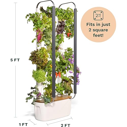 Gardyn 4.0 Vertical Hydroponics Growing System Kit - 30 Non-GMO Plants, Herbs, Vegetables - Smart Tower Garden - Hydroponic Herb Garden Planter Indoor Kit - Indoor Gardening System w/LED Grow Lights