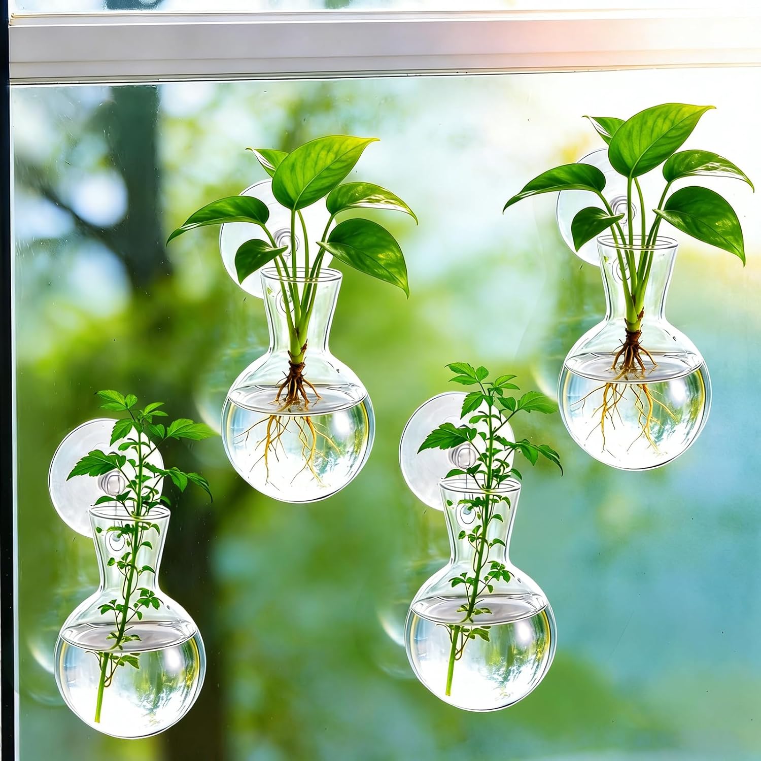 12Pcs Window Propagation Stations Bulb Glass Vases with Suckion Cups Hooks Hydroponics Plant Propagation Vases No Nails Wall Hanging Planter for Water Plant Propagation Rooting Cuttings