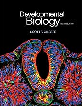 Developmental Biology Lahore, Karachi - Pakistan