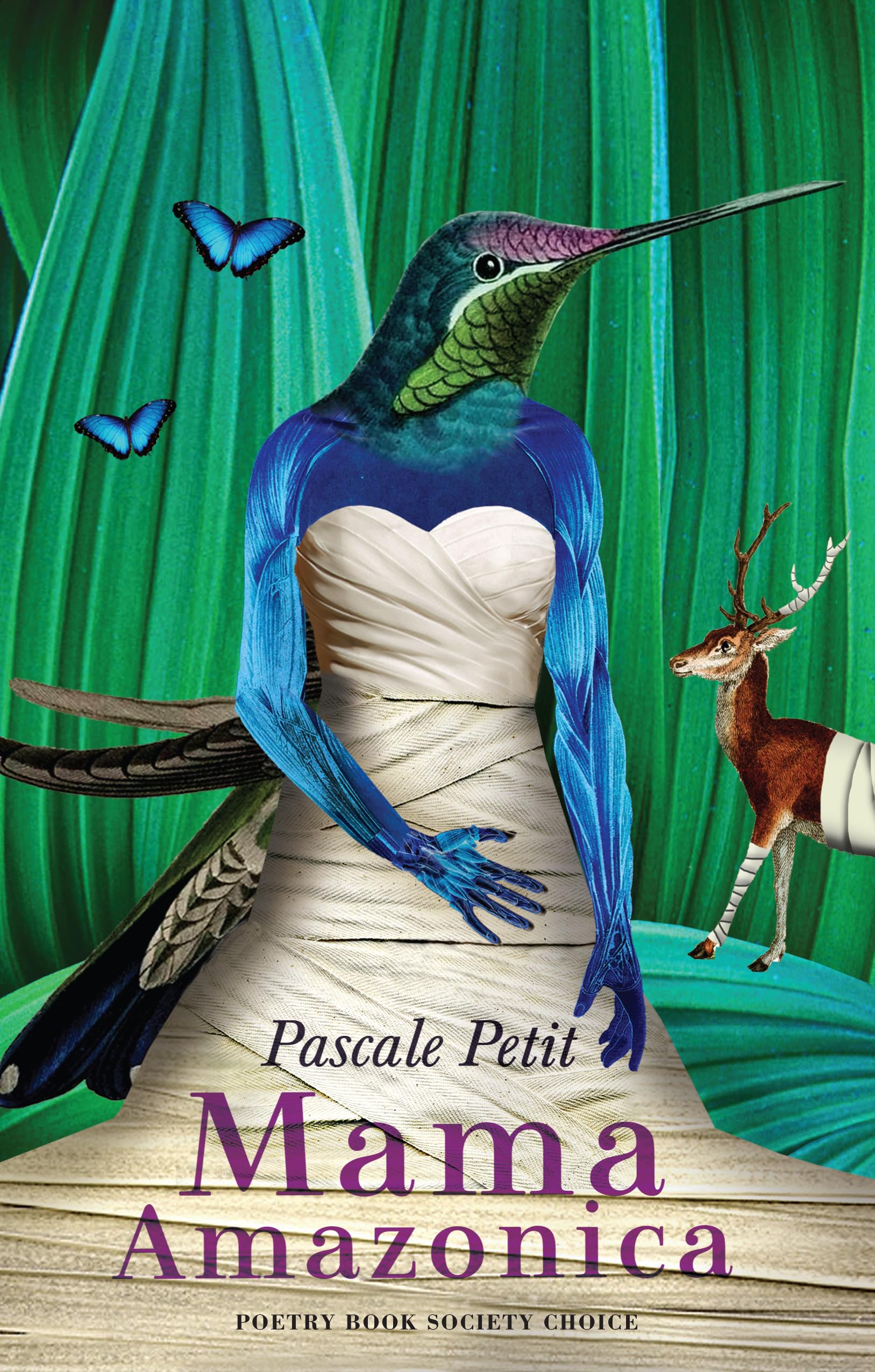 Mama Amazonica - RSL Ondaatje Prize 2018 and Laurel Prize 2020 by Petit New^*