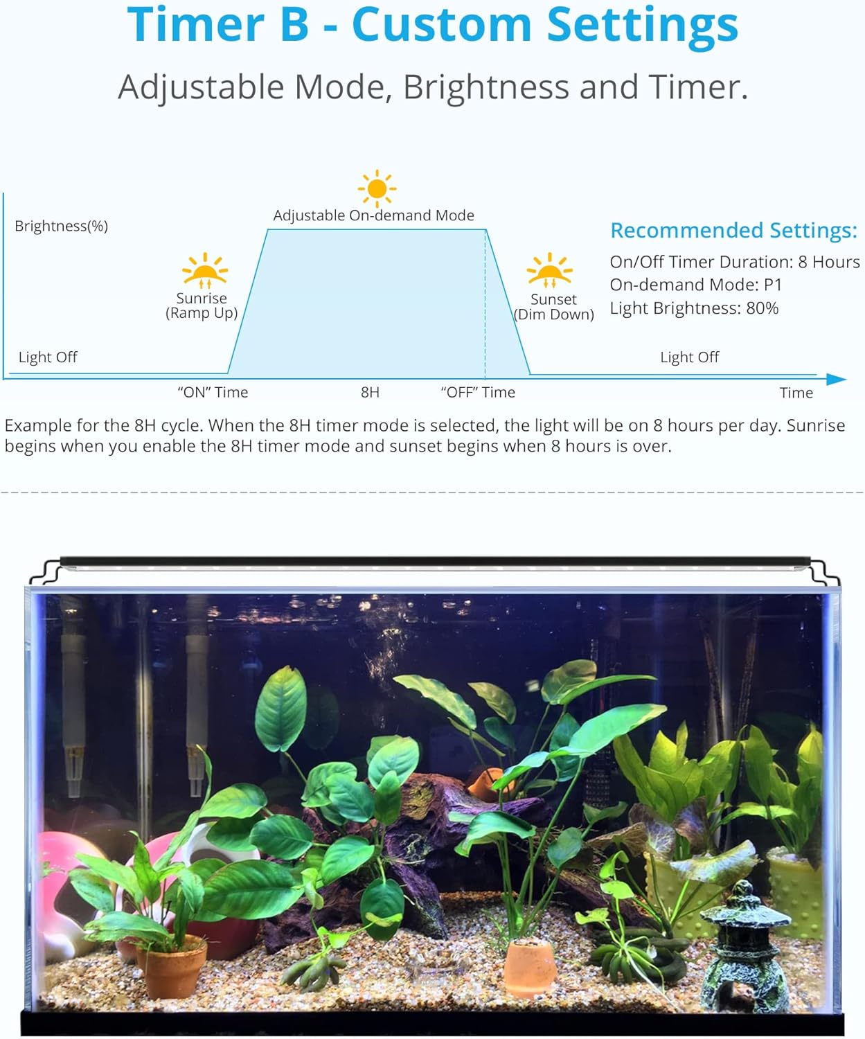automatic fish tank light
