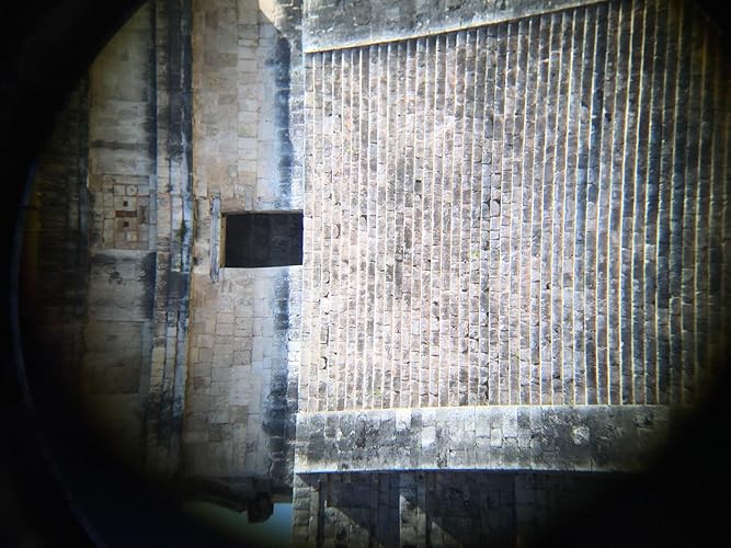Review Image by Tianyi