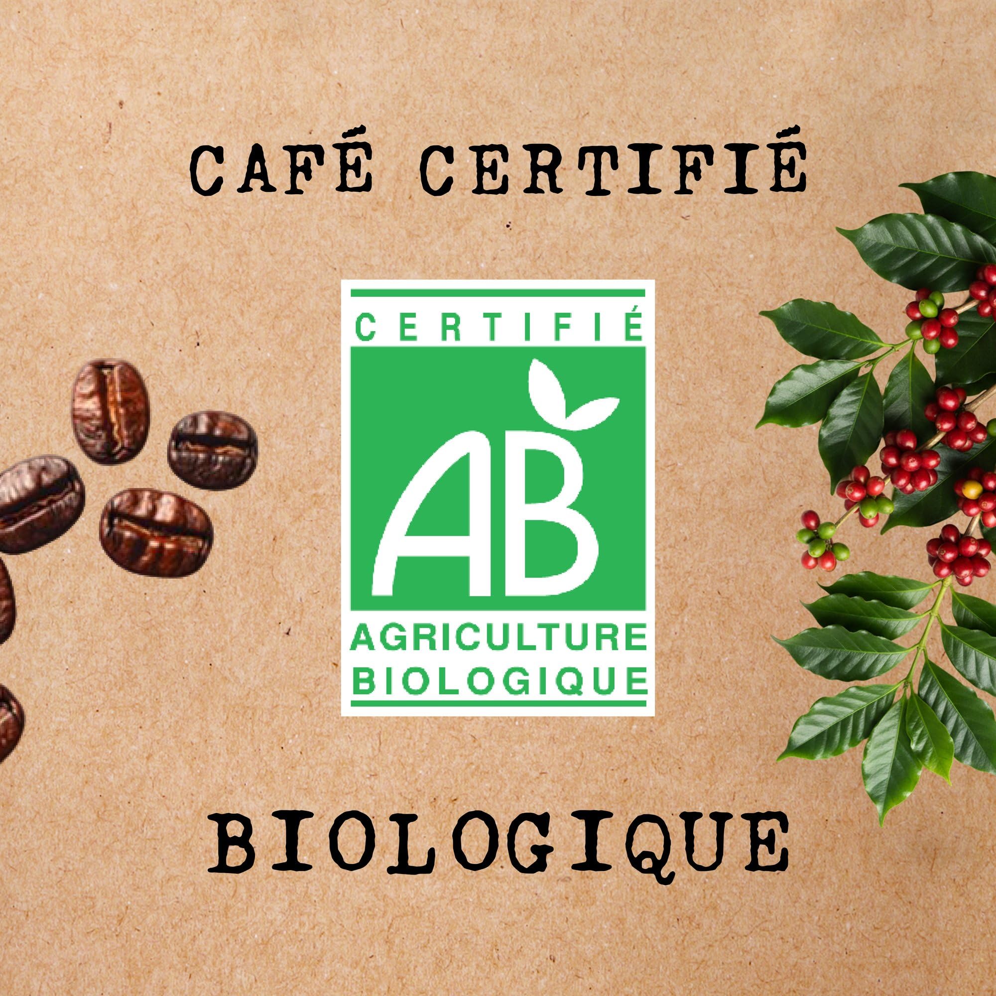 Cafés Méo - Café en Grains Biologique Intense Pur Arabica - 3 kg - Intensité 9/10 - Arômes Authentiques, Corsé et Intense - Agriculture Biologique - Lot de 6 x 500 gr