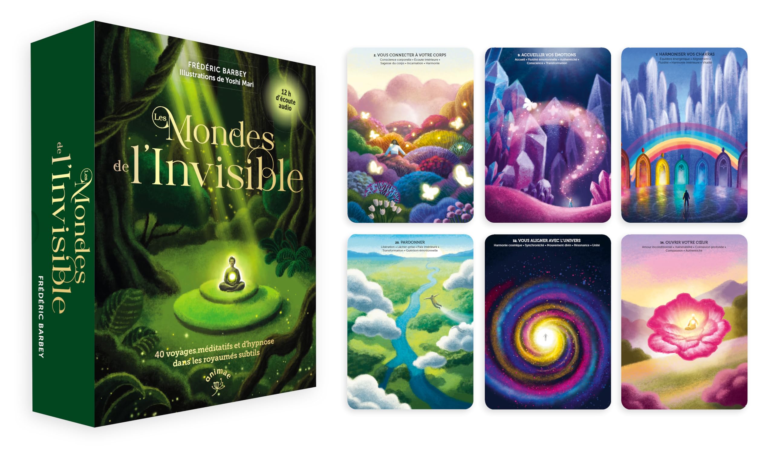 Les Mondes de l'invisible