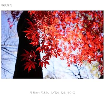 Amazon.co.jp: SONY 単焦点広角レンズ Sonnar T* FE 35mm F2.8