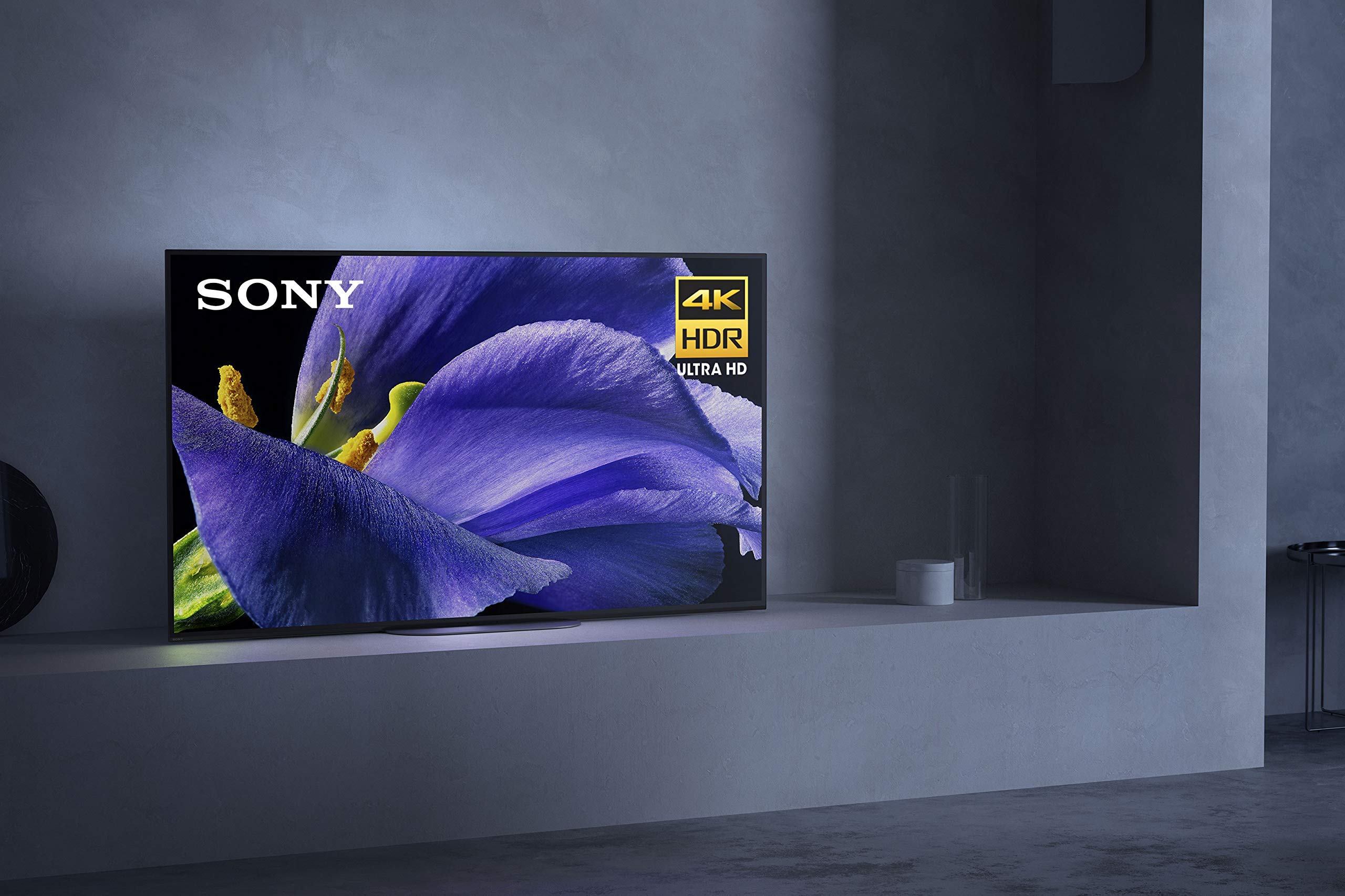 Amazon.com: Sony XBR-77A9G 77 Inch TV: MASTER Series BRAVIA OLED