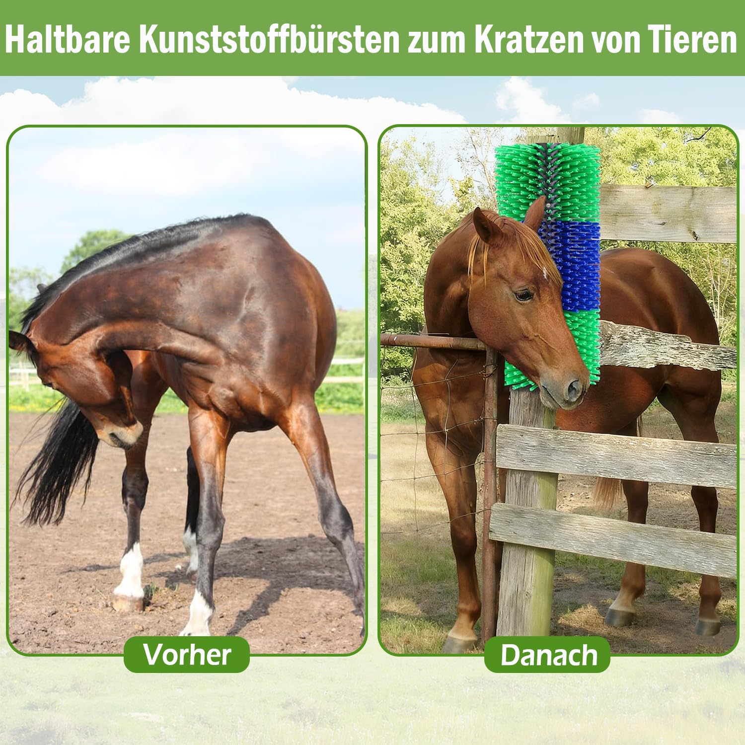 2 Pcs Kratzbürste Pferd, Halbrunde Pferde-Rückenkratzer, Pferdebürste, Kuhbürste, lindert Juckreiz & reinigt Mähne, Kratzbaumbürste für Pferd, Kuh, Schwein, Schafe, 43.5cm