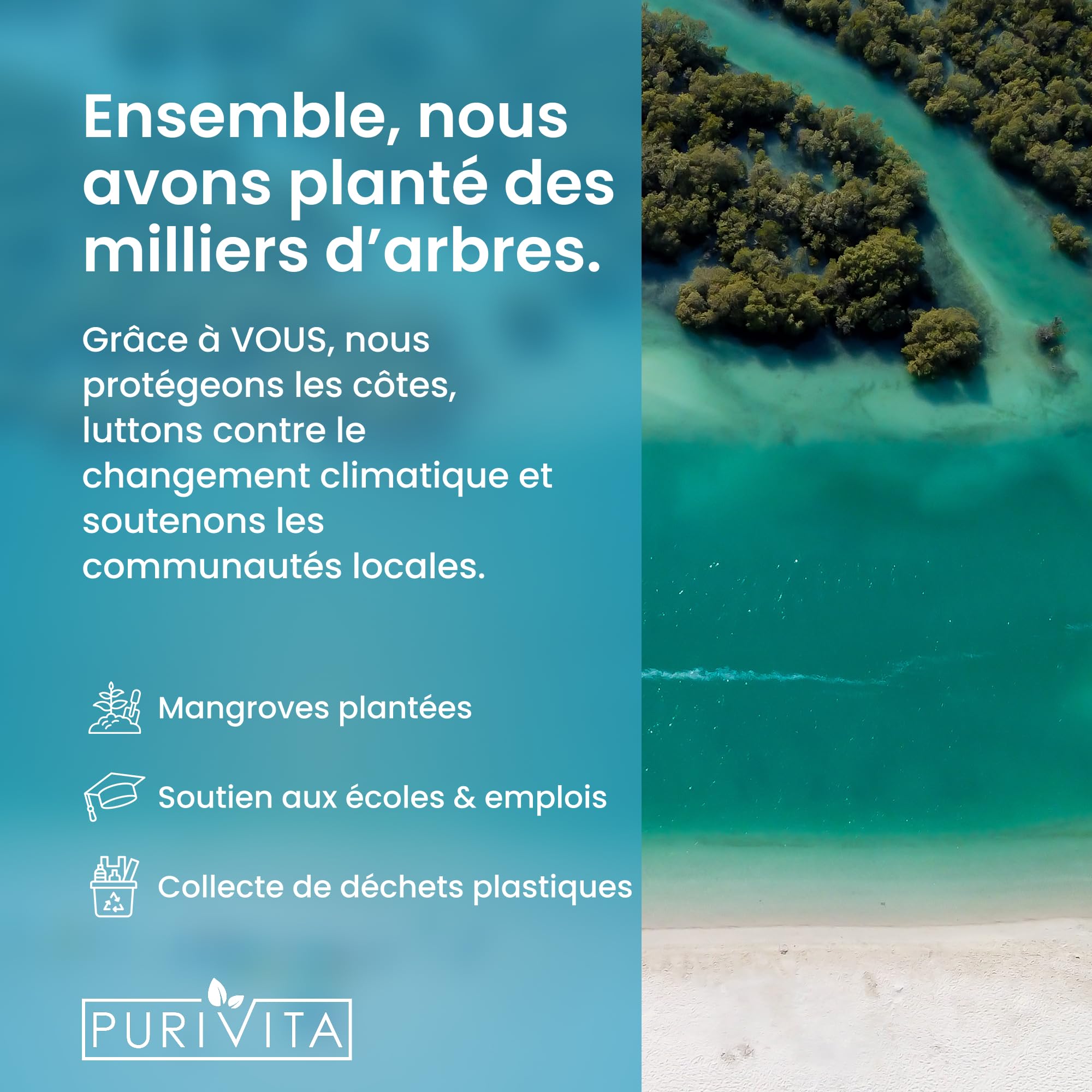 Purivita - Nettoyant Rasoir 3000 ml - Compatible avec Braun et Phillips - Liquide de remplissage