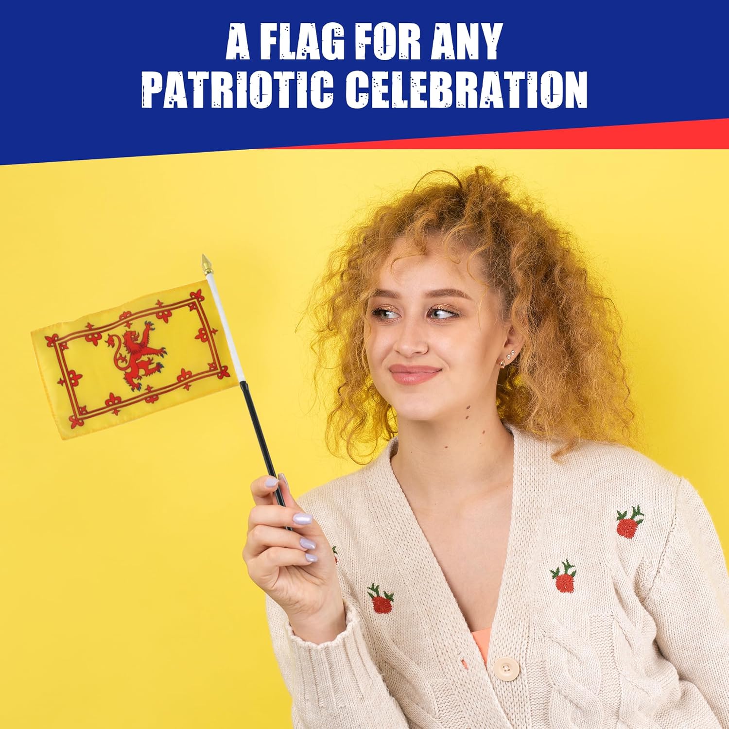 Scotland (Royal Lion Rampant Banner 4 x 6 Inch Flag (12 PK)