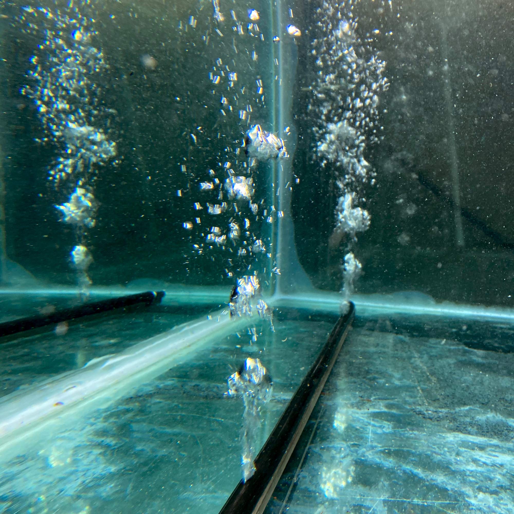 SnoMelt S5042S 50 lbs Calcium Chloride Pellet Pail