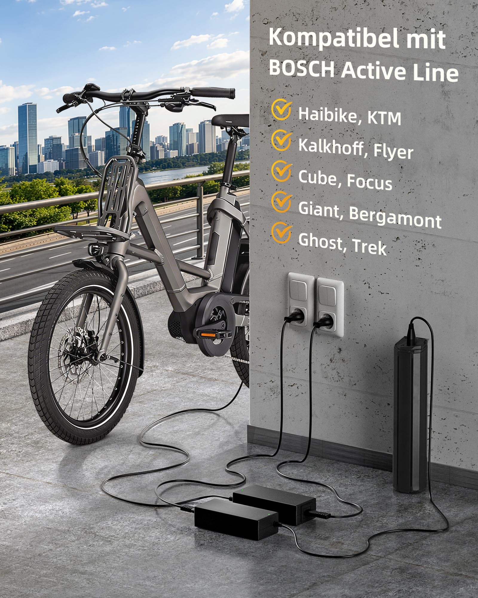 E-Bike 36V 6A 42V 6A Ladegerät Netzteil für Bosch Motor Ebike, KTM, Kalkhoff, Flyer, Cube, Focus, Giant, Bergamont, Ghost, Trek e-Bike Ladekabel, 3m Kabel