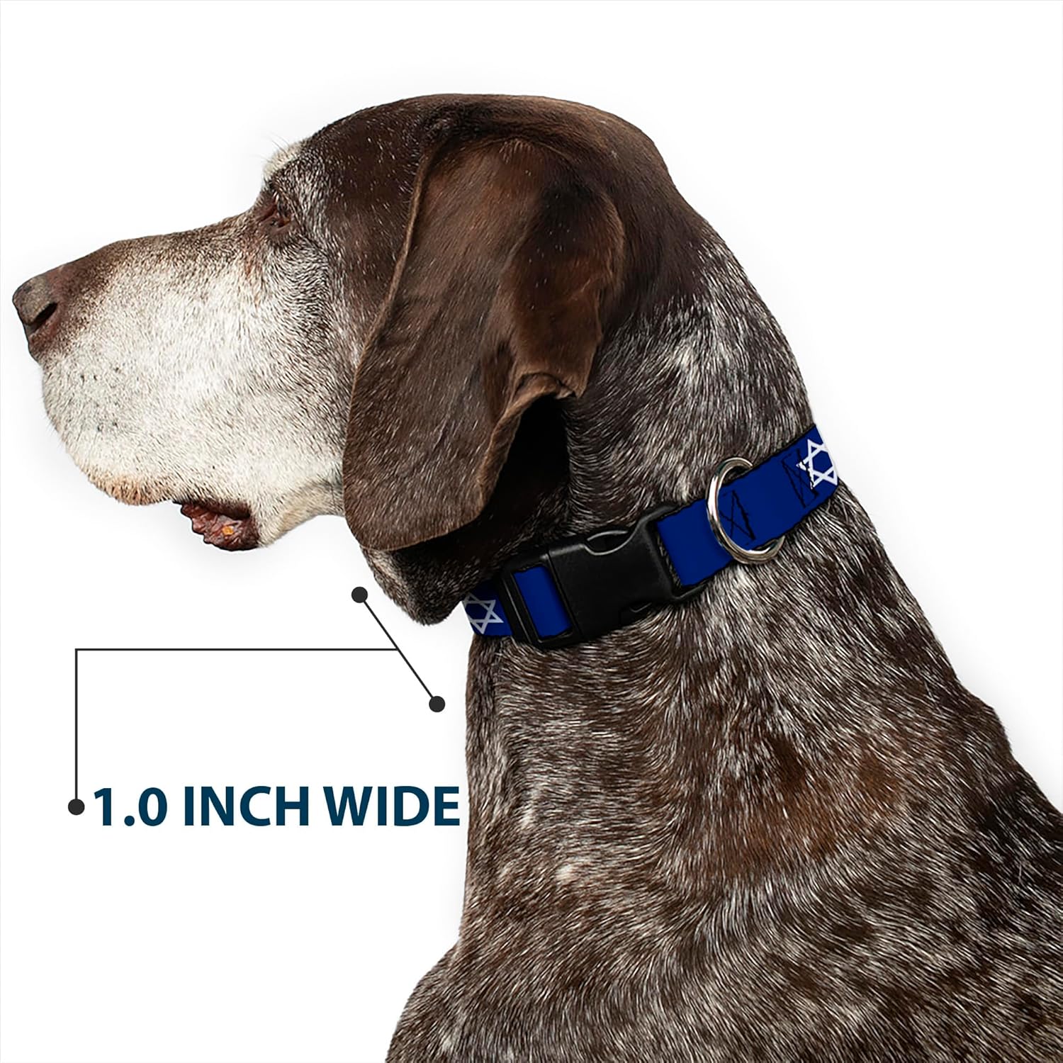 Buckle-Down Plastic Clip Collar - Star of David - 1.5" Wide - Fits 13-18" Neck - Small