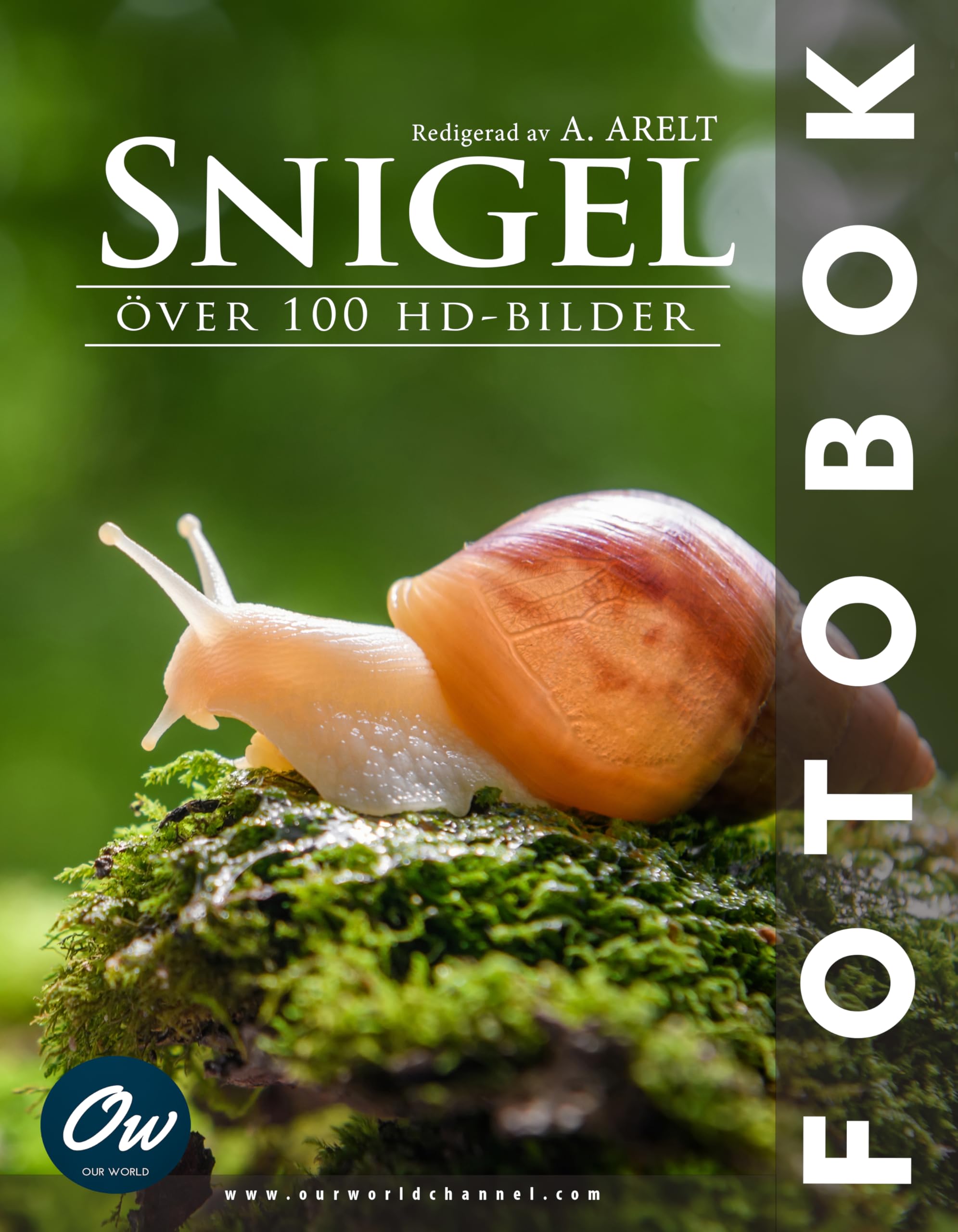 Snigel fotobok album photo scandinave de qualité pour ranger vos souvenirs