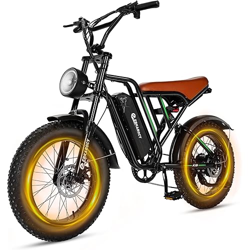 EBKAROCY Electric Bike for Adults 750W Peak 20" Fat Tire All-Terrain E-Bike 30 Miles 25MPH Electric Dirt Bike - 48V 15AH Battery Powered Electric Motorcycle for Adventure UL 2849