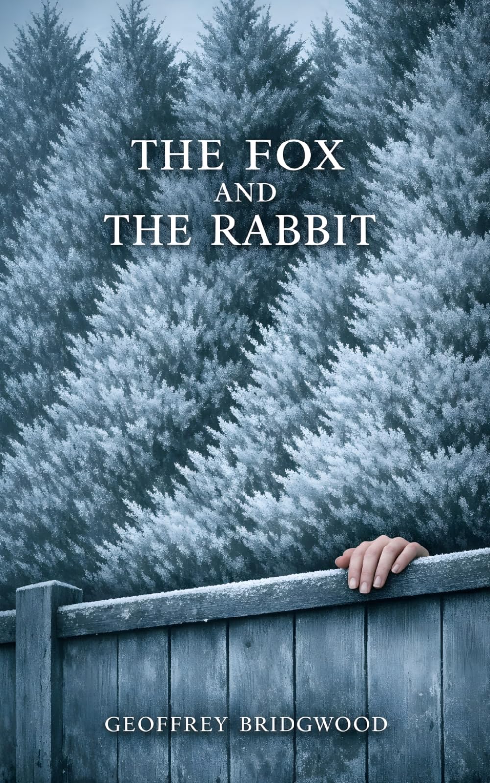 The Fox and The Rabbit