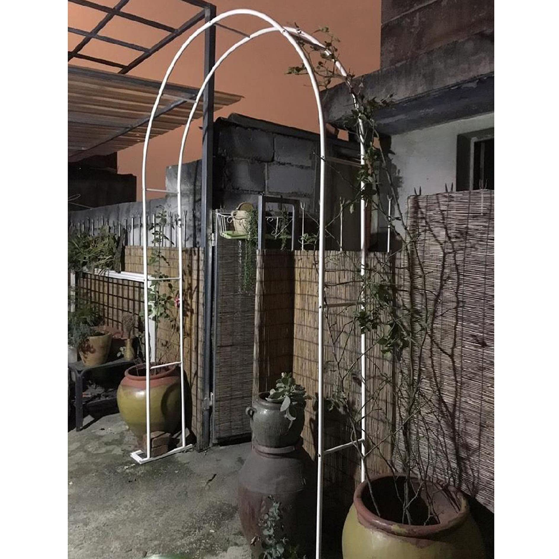 Arche en treillis élégante pour vignes et aménagement de jardin