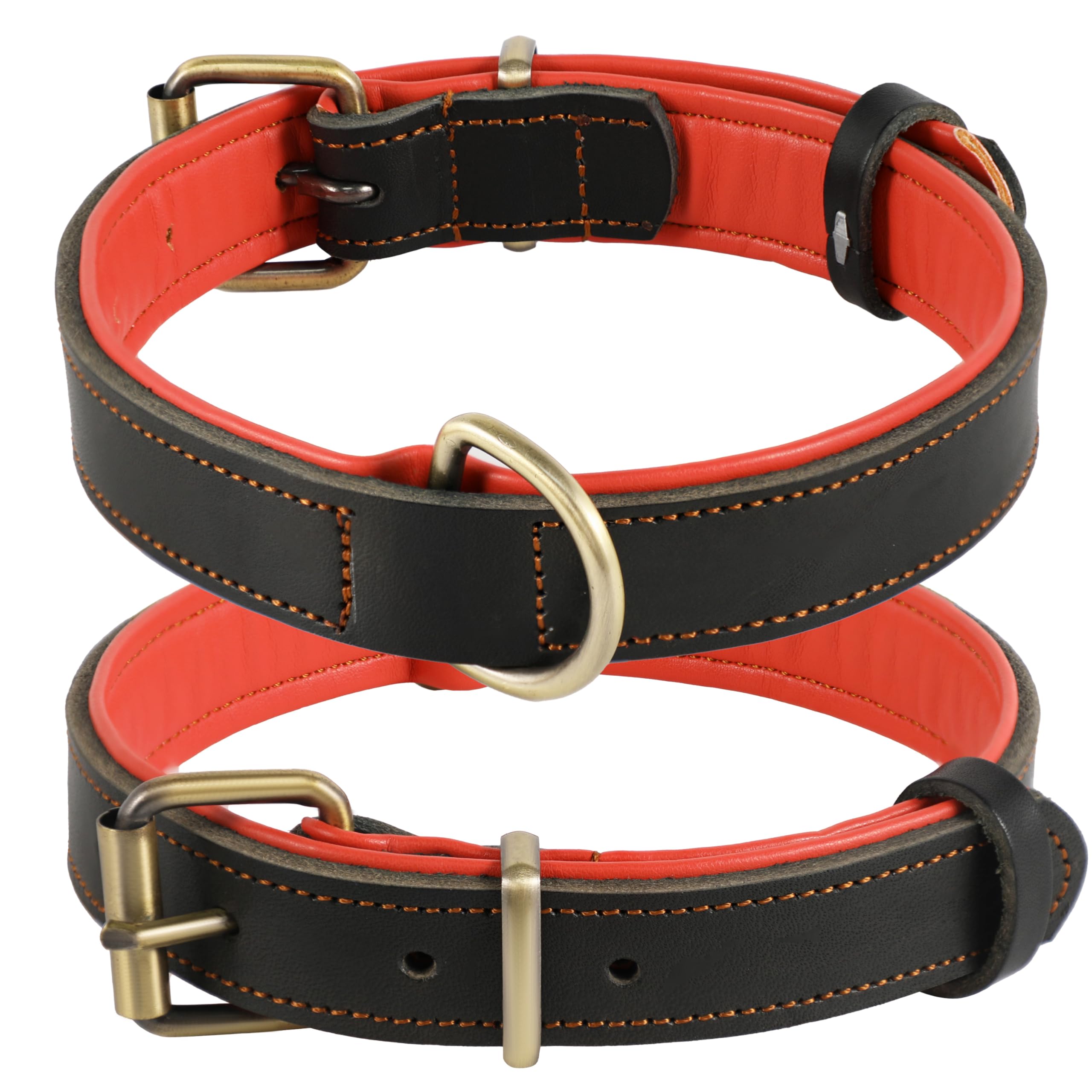 Collar de Cuero Genuino para Perro, Varios tamaños y Colores, Resistente, cómodo, Acolchado Interior Suave con diseño de Color en Contraste, Cinco tamaños Diferentes de 25 a 57 cm