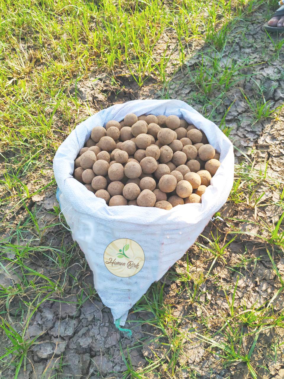 HUMAN BIRDS SEED BALLS Common Fig Tree, Ficus Carica Tree, Atthimaram Tree, Cluster Fig - Pack of 30 (B089YTRS58) Amazon Price History, Amazon Price Tracker