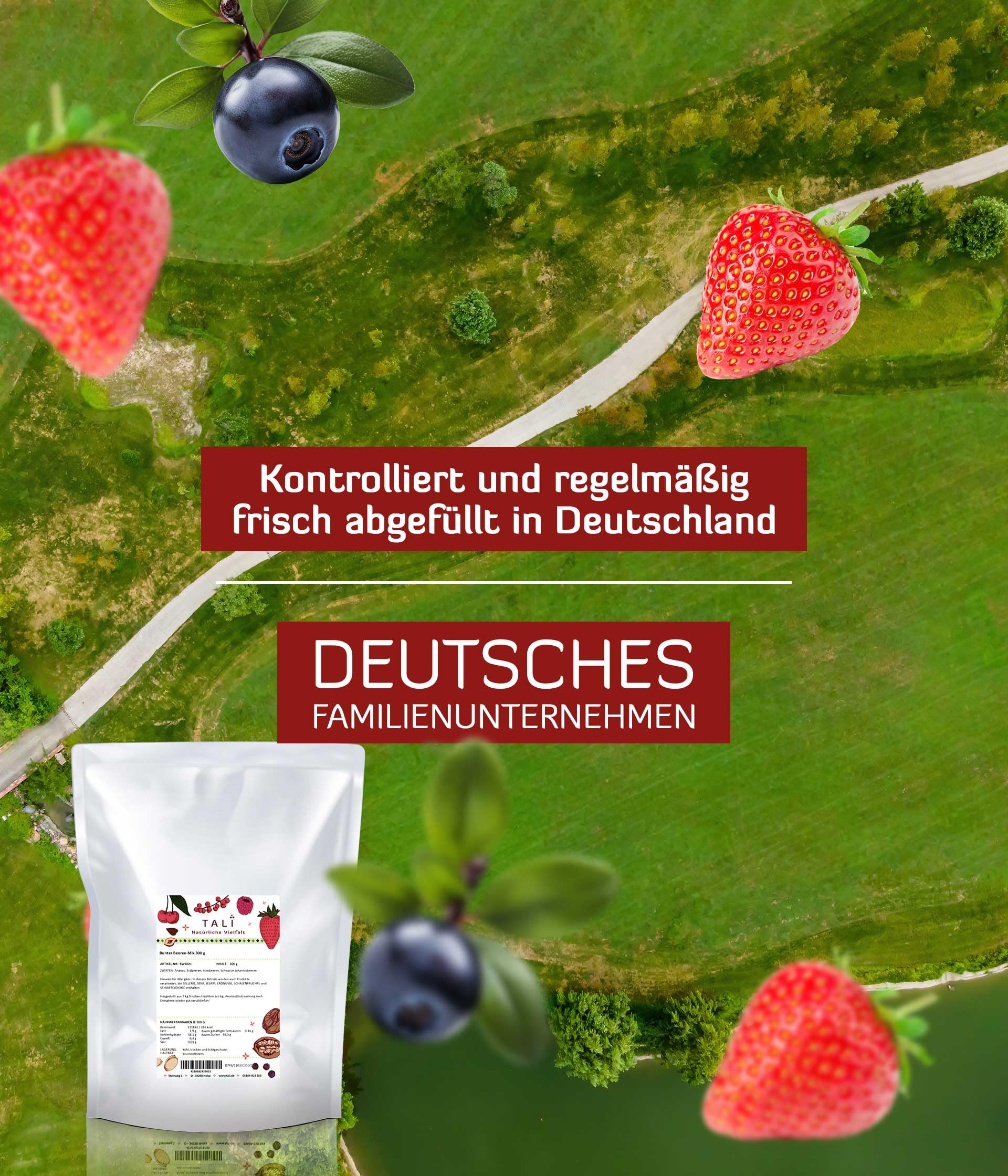 TALI Bunter Beeren Mix 1000 g | Gefriergetrocknete Ananas, Erdbeeren, Himbeeren, Schwarze Johannisbeeren