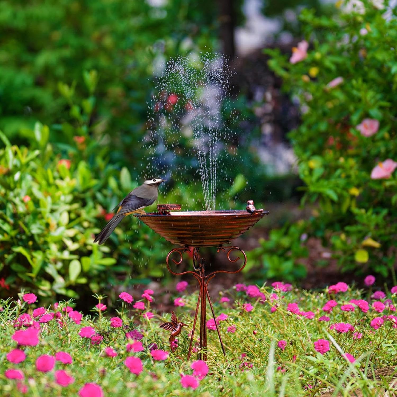 Birdbath Bowl Feeder Birdbath with Feeder Drinker Plate Easy to Install Iron